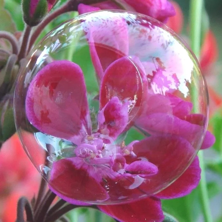 Your Bubble of Reality