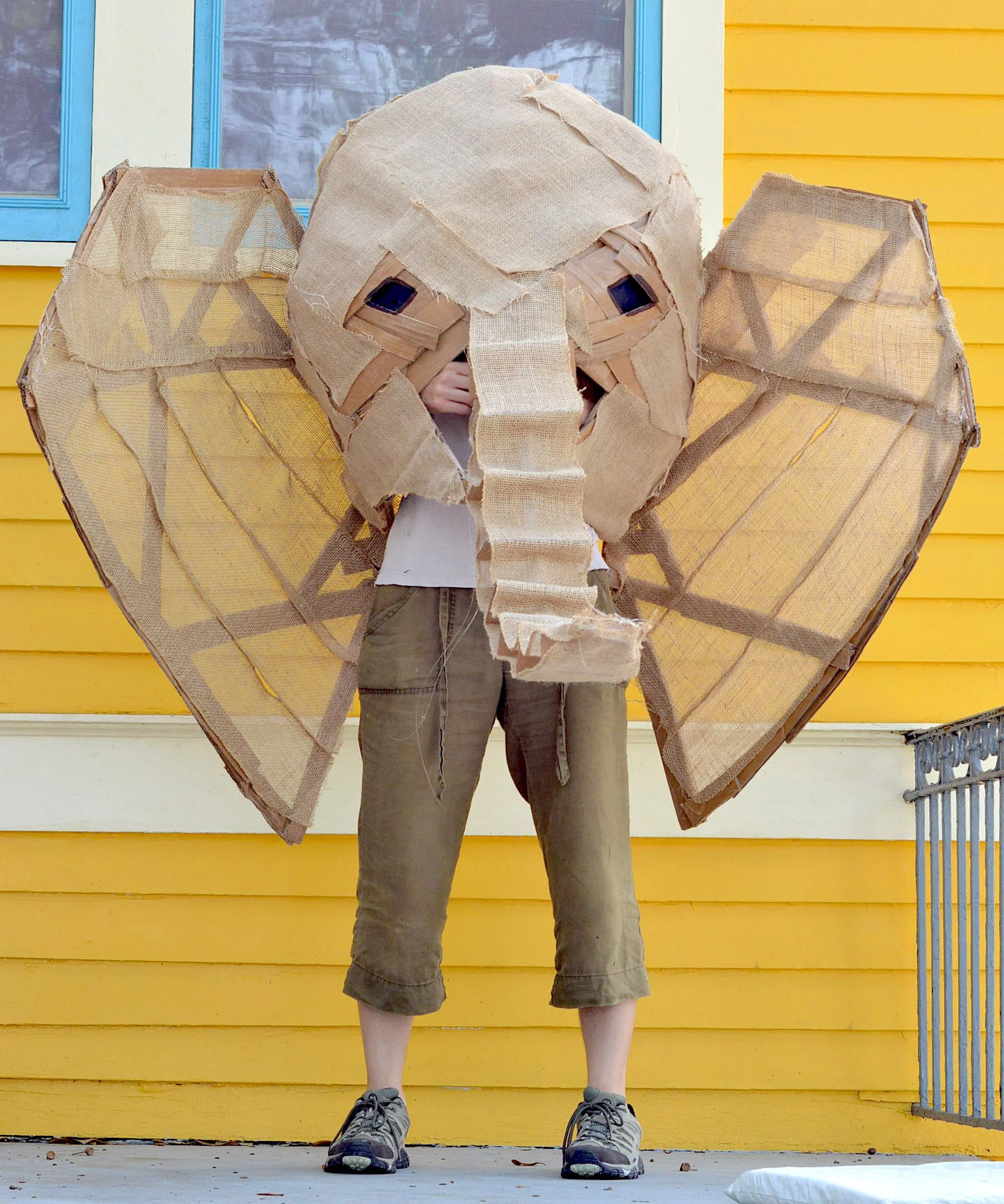 elephant