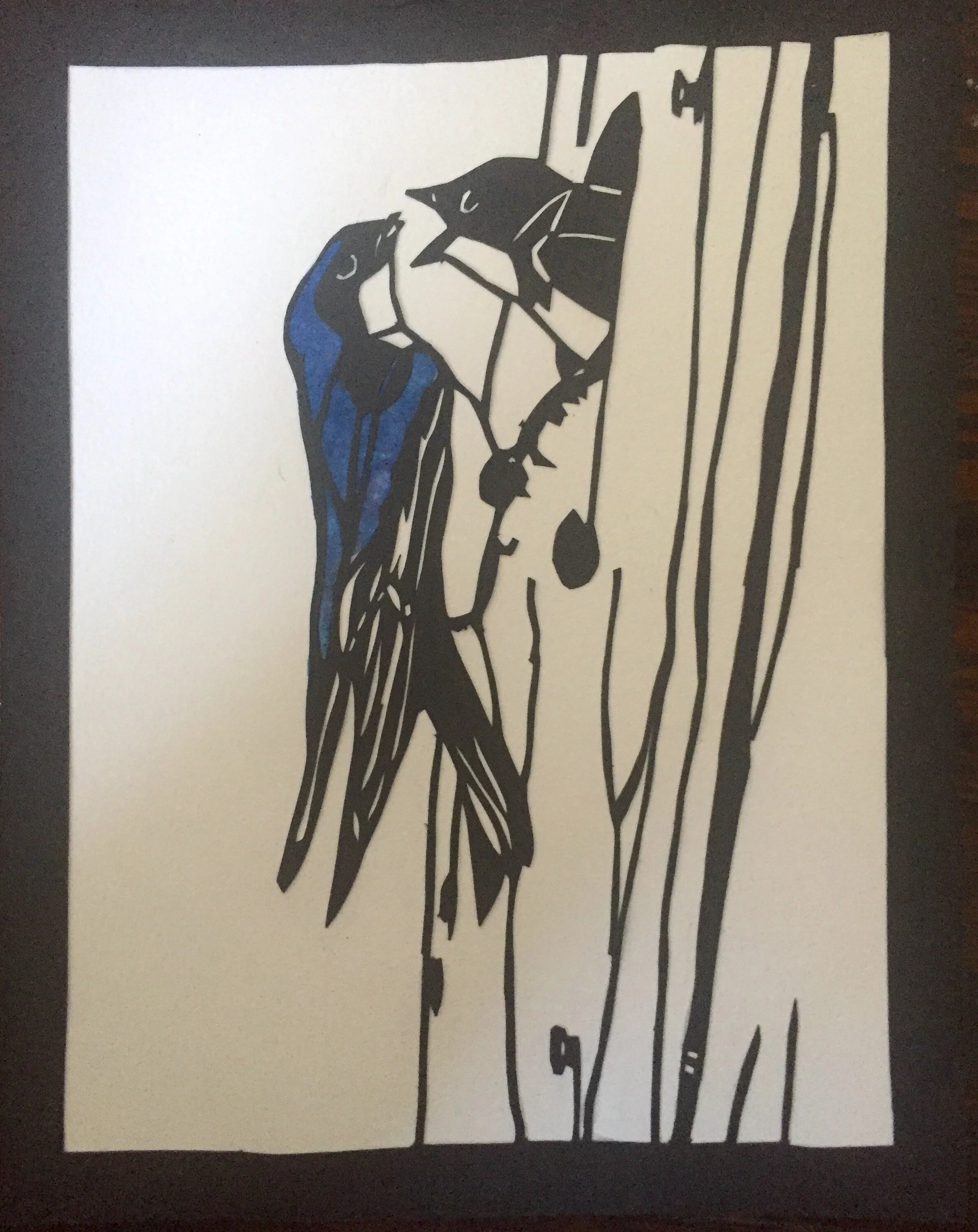 swallows
