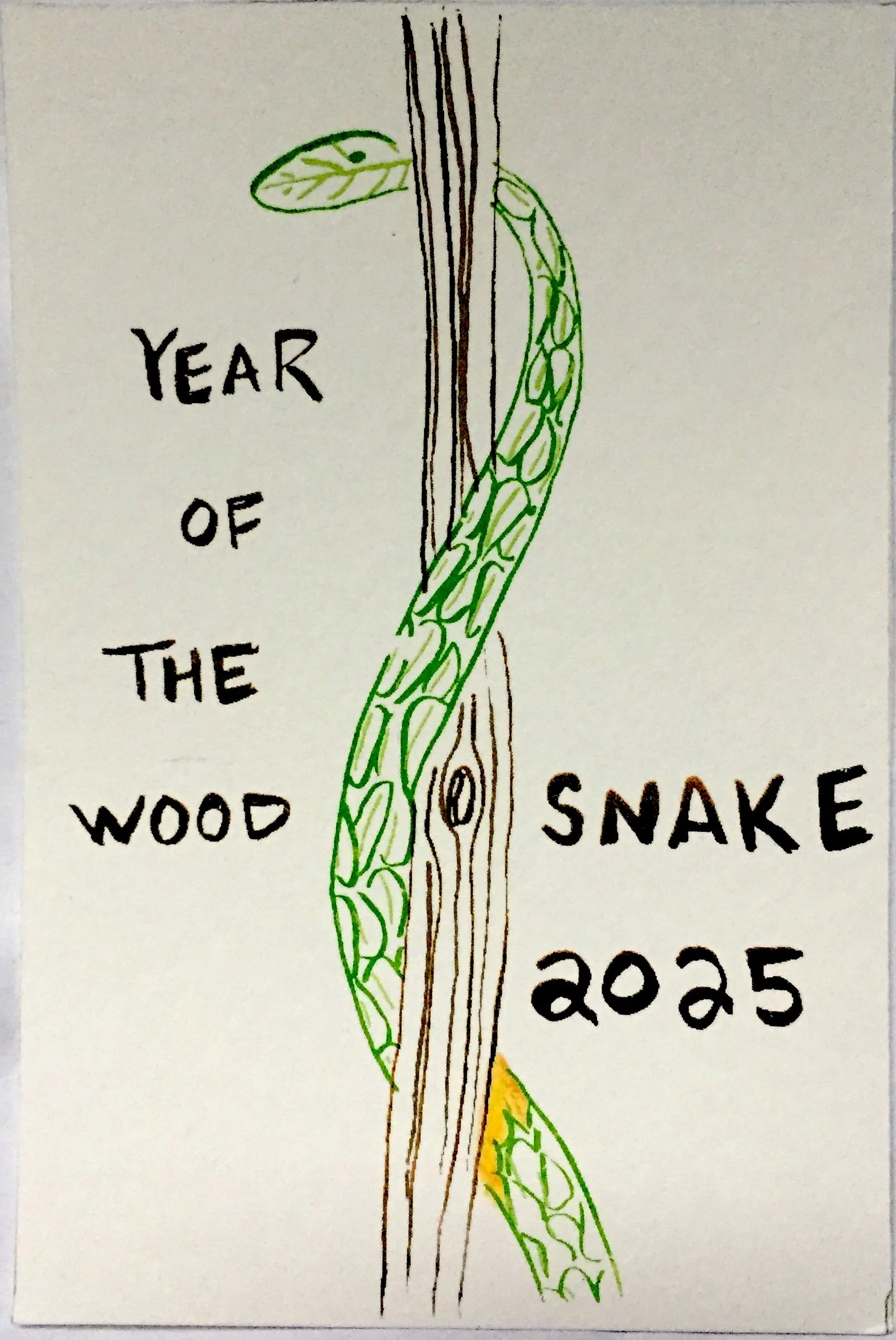 year of the wood snake 2025