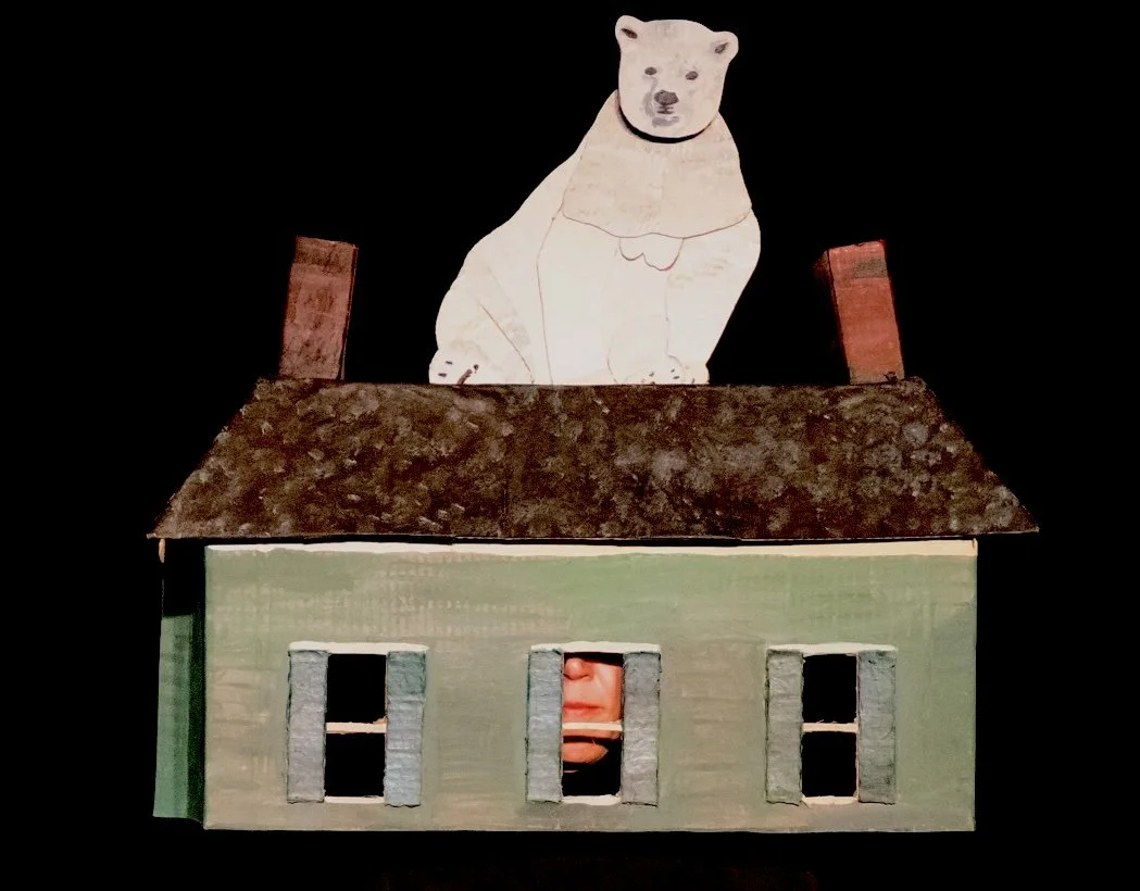 on the top of my roof.jpg