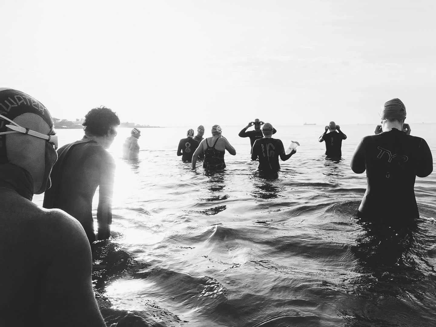 Our weekend pod of Brunswick Belugas is increasing in size in correlation to the warmer weather 🏊&zwj;♂️🌞