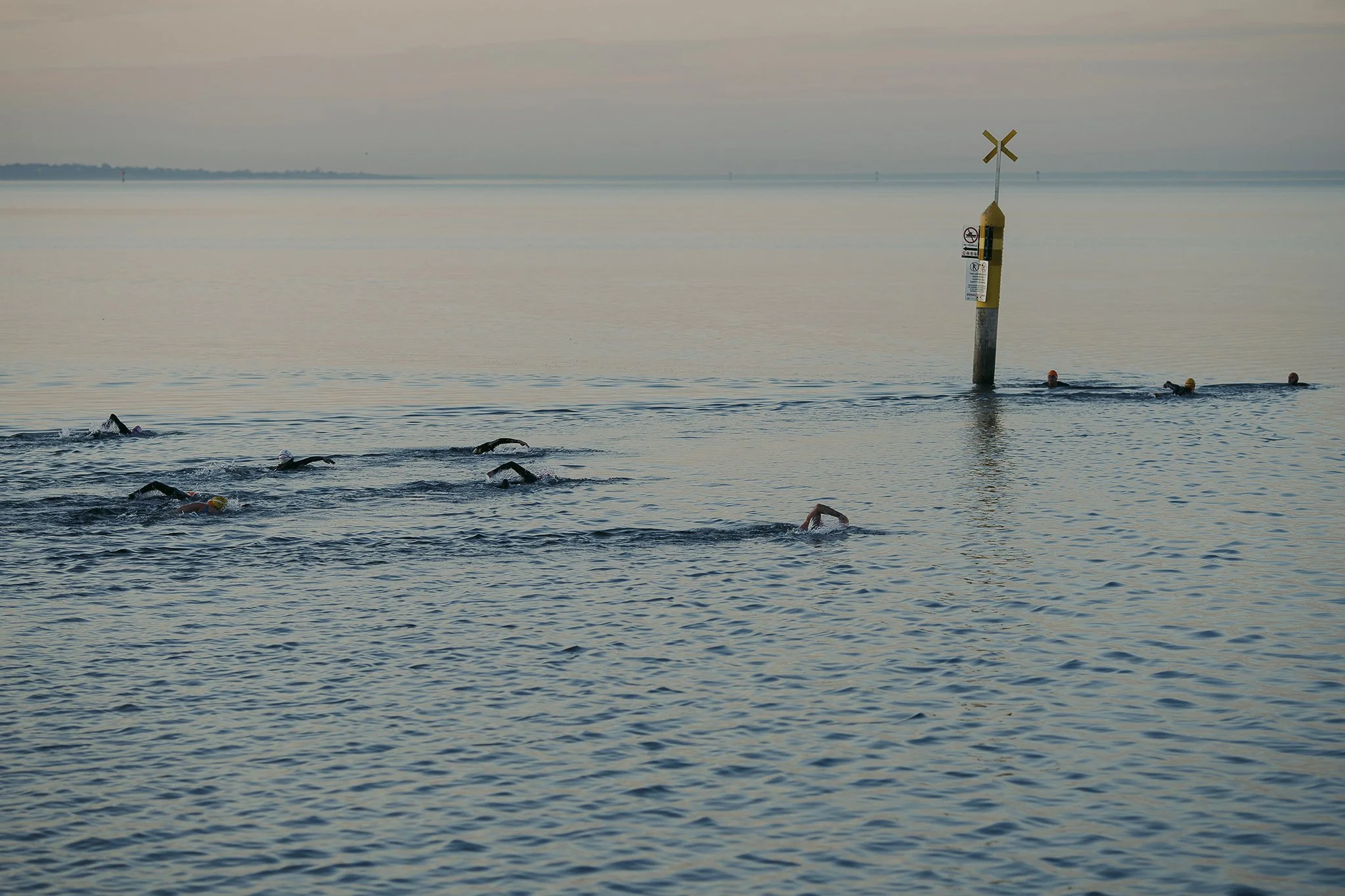 Farrell_Leo_Dawn strokes sml.jpg