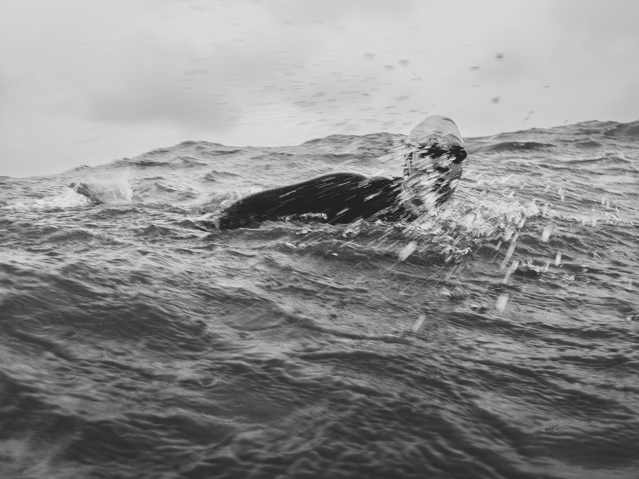 Leo Farrell-2026-Overview-00004.jpg