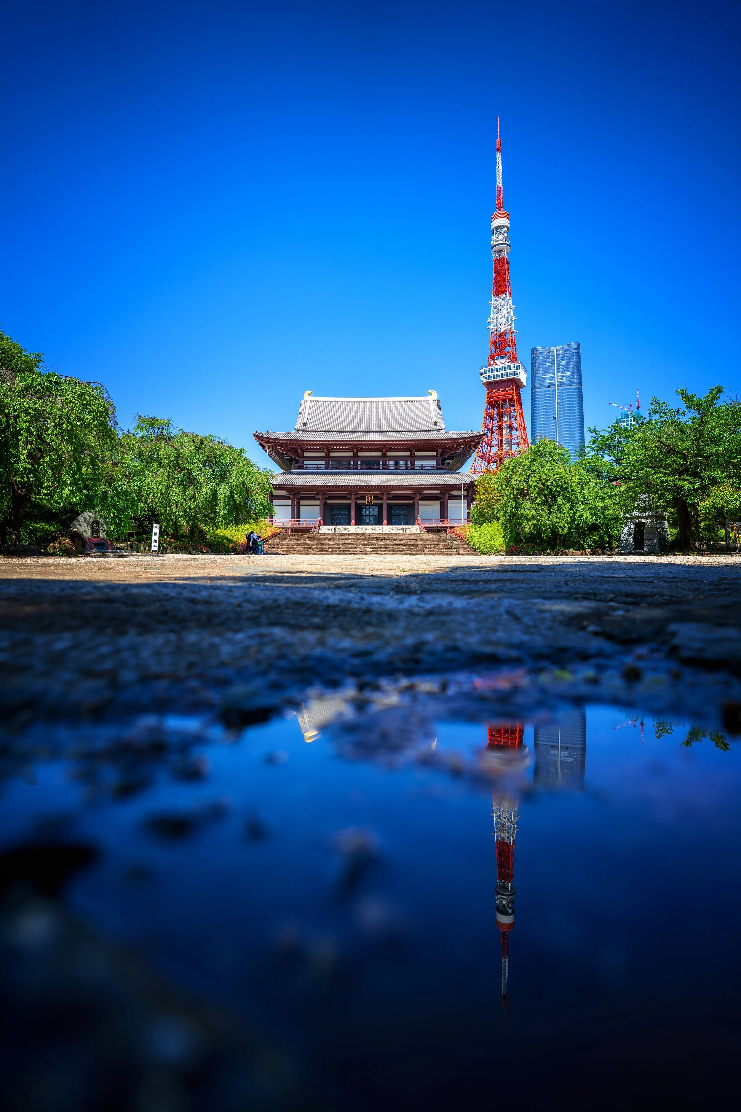 _DSC0625-HDR GLow.jpg