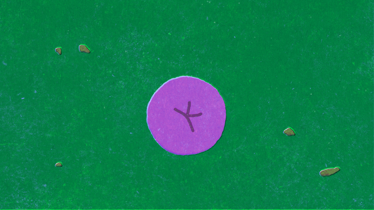 The Awakening <br>of Insects