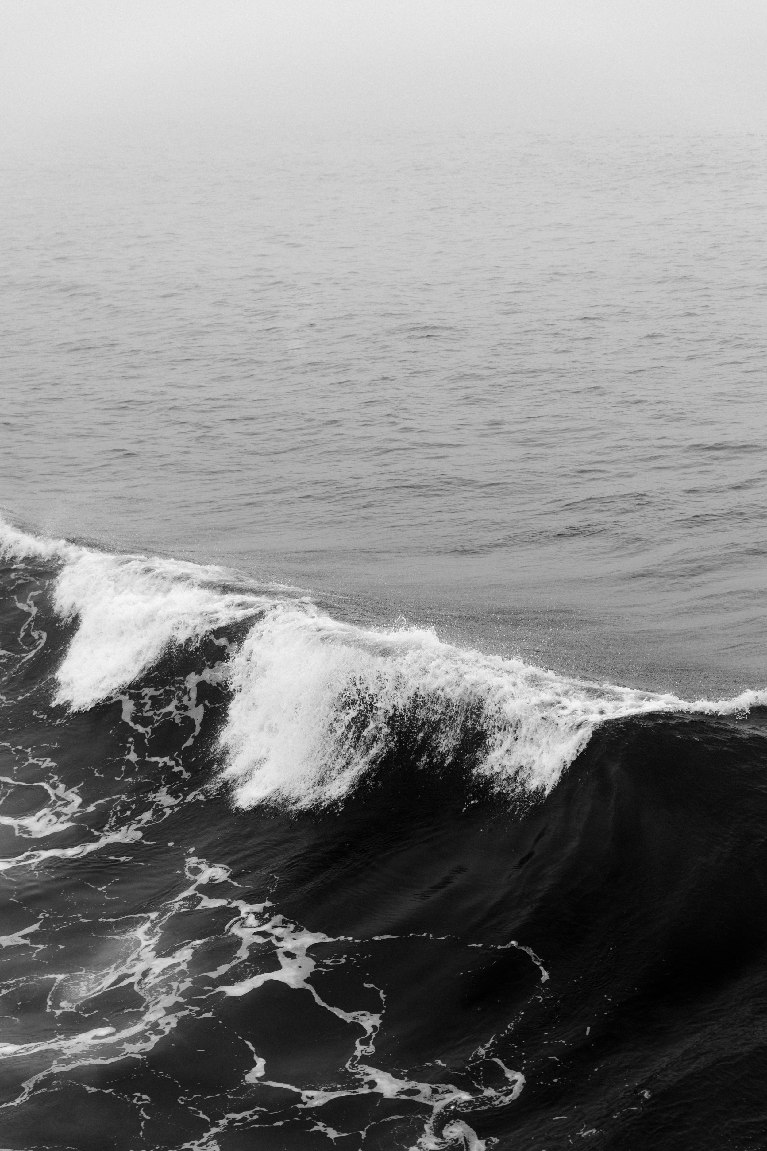 Learning To Trust Your Own Spirit