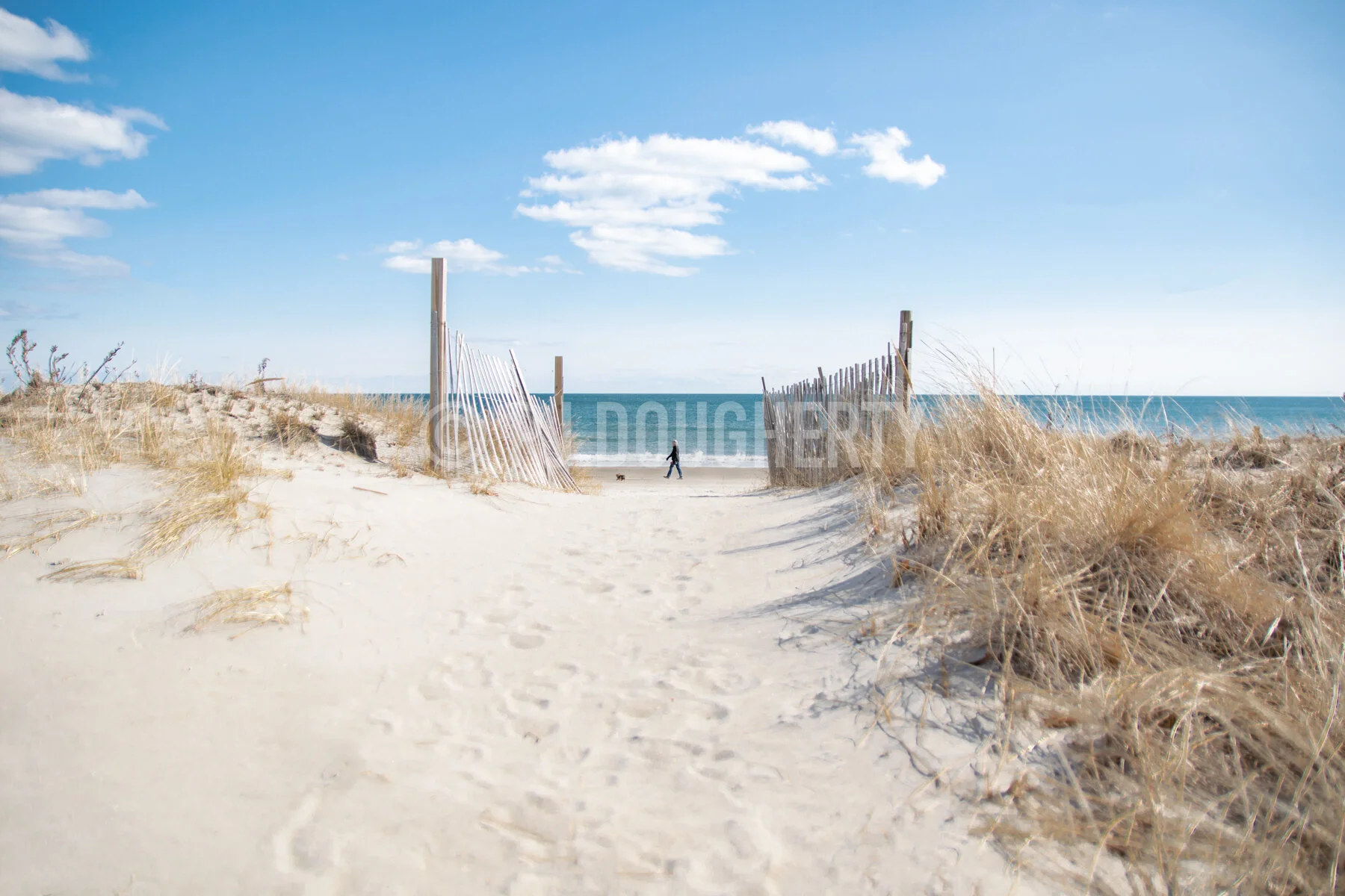 PJD-PrintFiles-WatermarkWebsite-72dpi--112.jpg