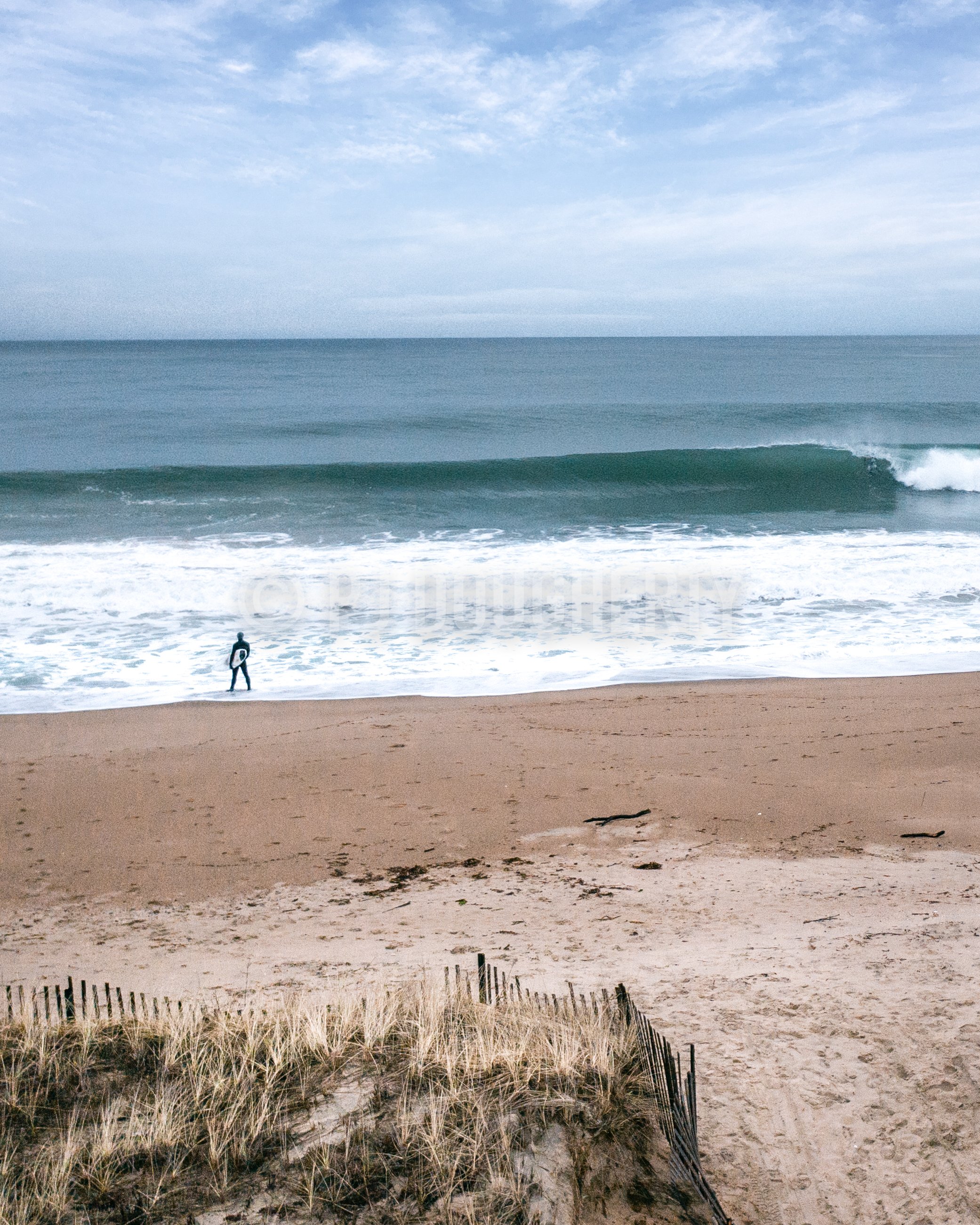 PJD-Surf-March2022-Final-17.jpg
