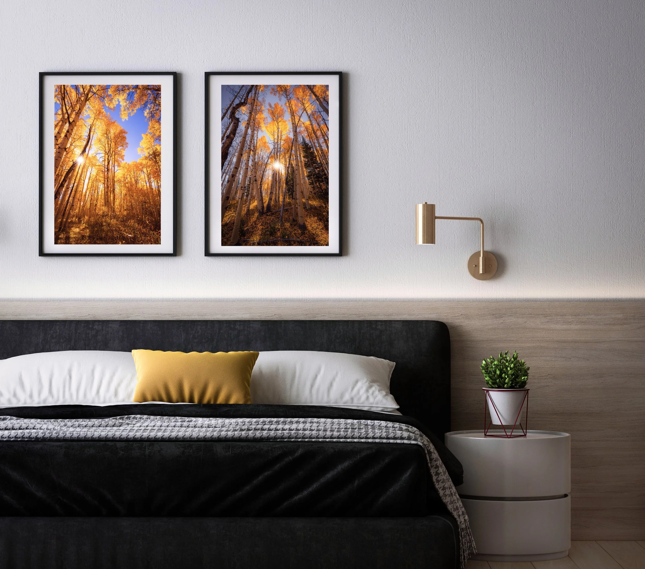 Aspensunbeam1&2.jpg