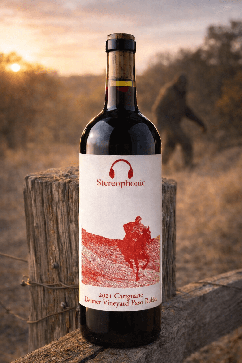 2021 Stereophonic Carignane, "The Faster Blade", Denner Vineyard, Willow Creek District, Paso Robles, CA