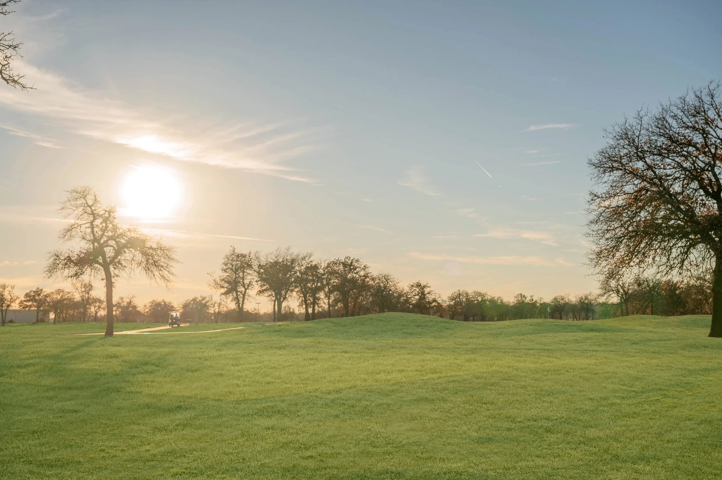 Connect, Lead, Prosper