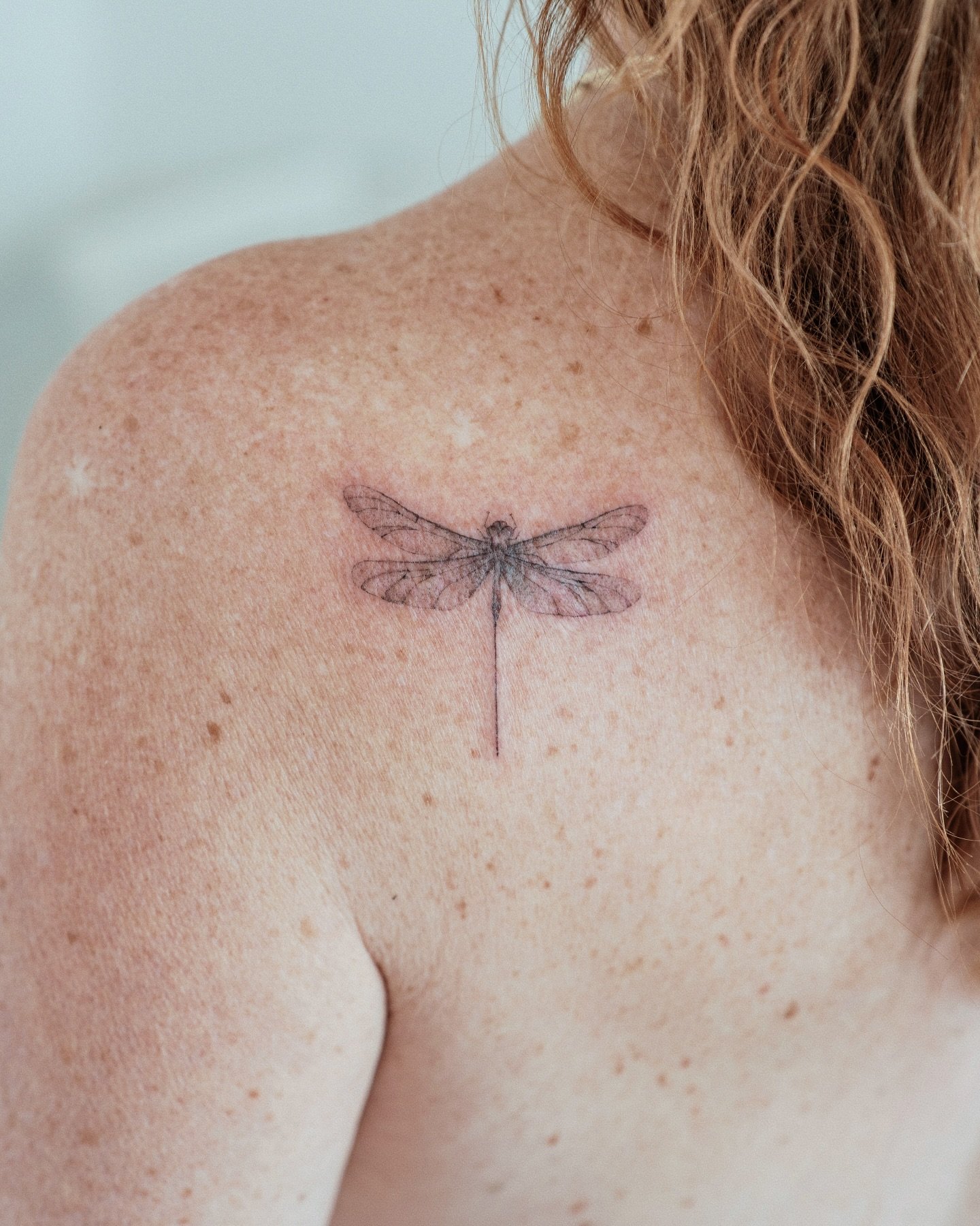 A delicate dragonfly 🤍

#stenatatts