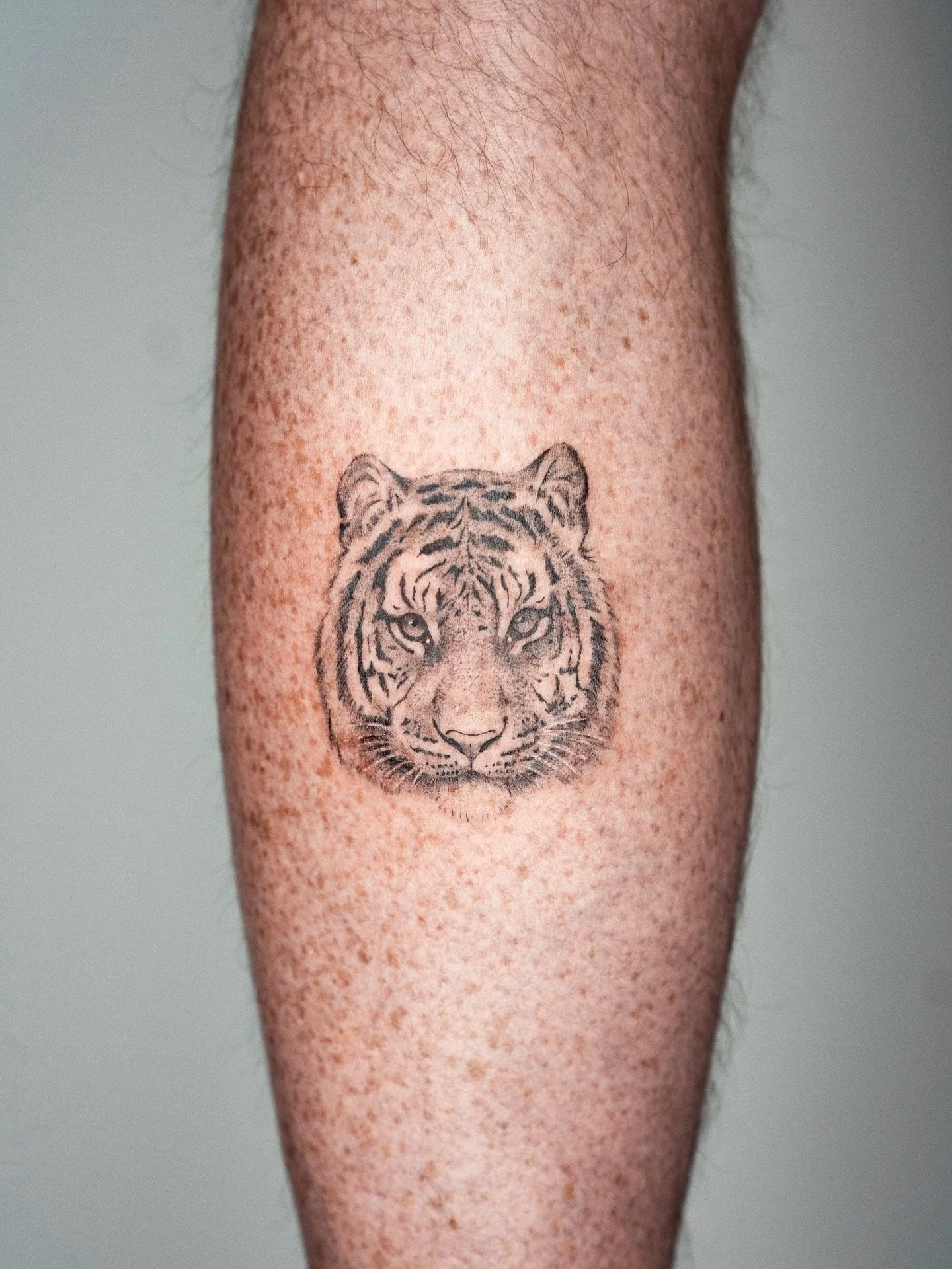 A very large cat

Made at @spicyinkofficial 

#stenatatts