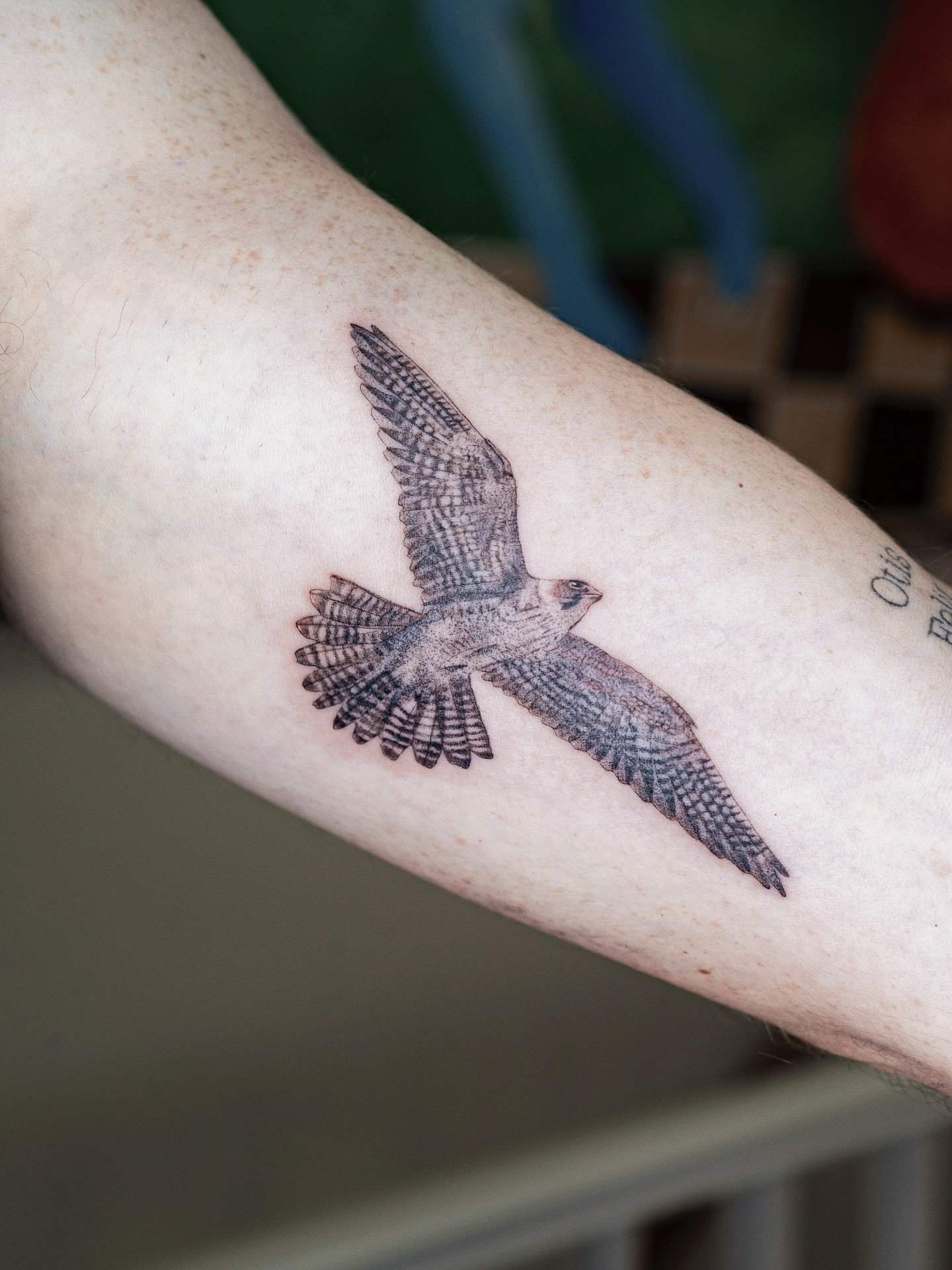A soaring hobby

Made at @handinhand_tattoo 

#stenatatts