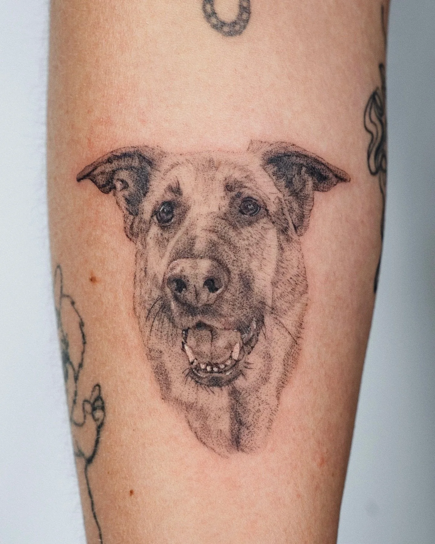 🐾 A good girl called Lulu

Made at @spicyinkofficial 

#stenatatts