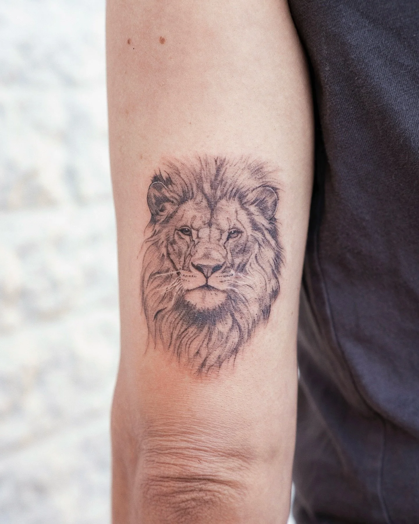 King 👑 

#stenatatts