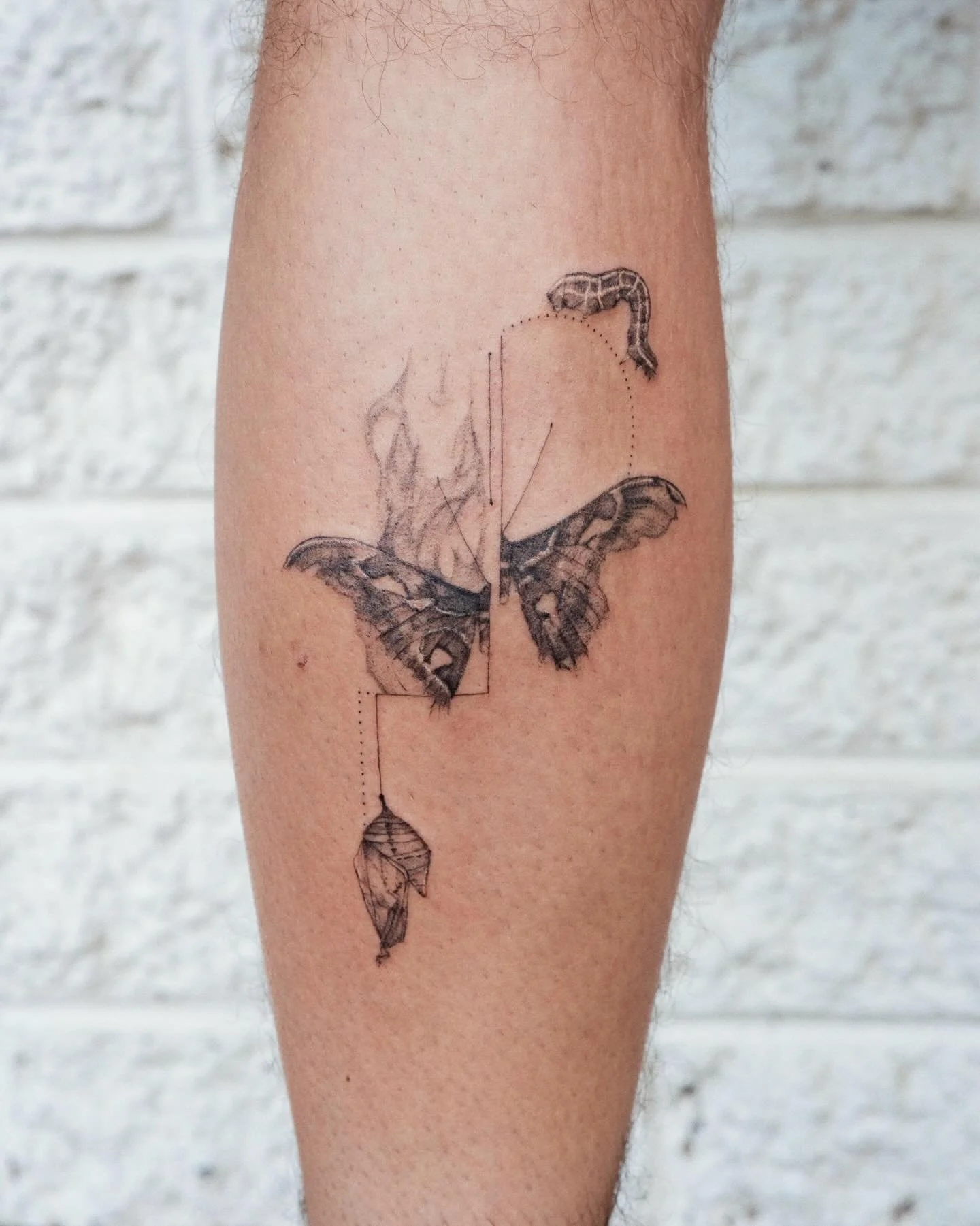 Metamorphosis 🦋 

#stenatatts