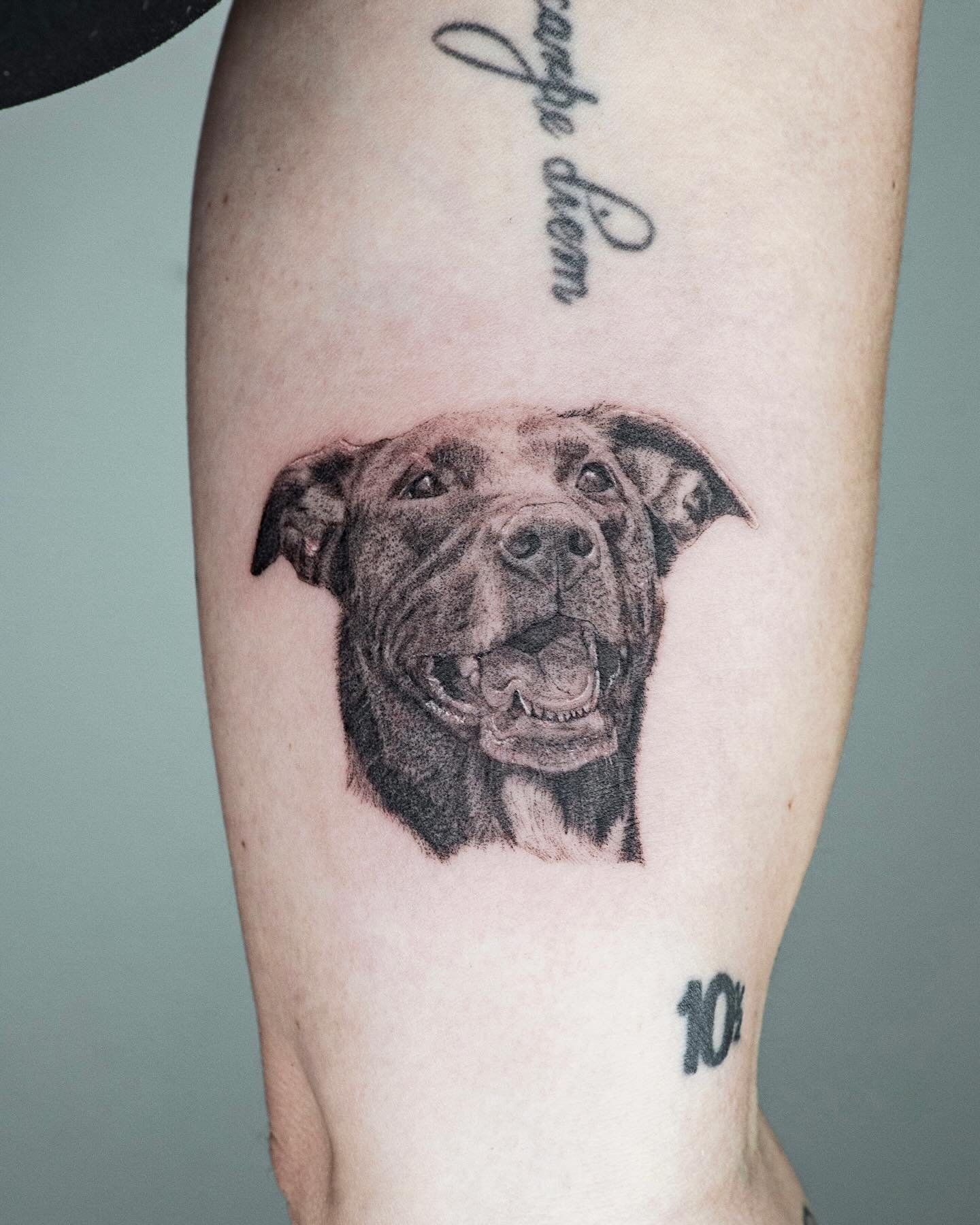 After losing my own dog last year, making these pup portraits for all of you has been quite healing. Thank you for the trust in such important pieces and for the long chats about how special your dogs are to you and your families. These little beasts