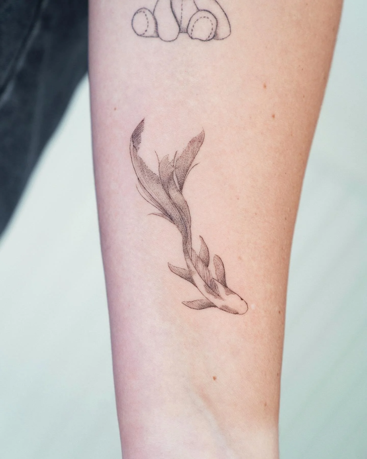 Soft koi 

#stenatatts