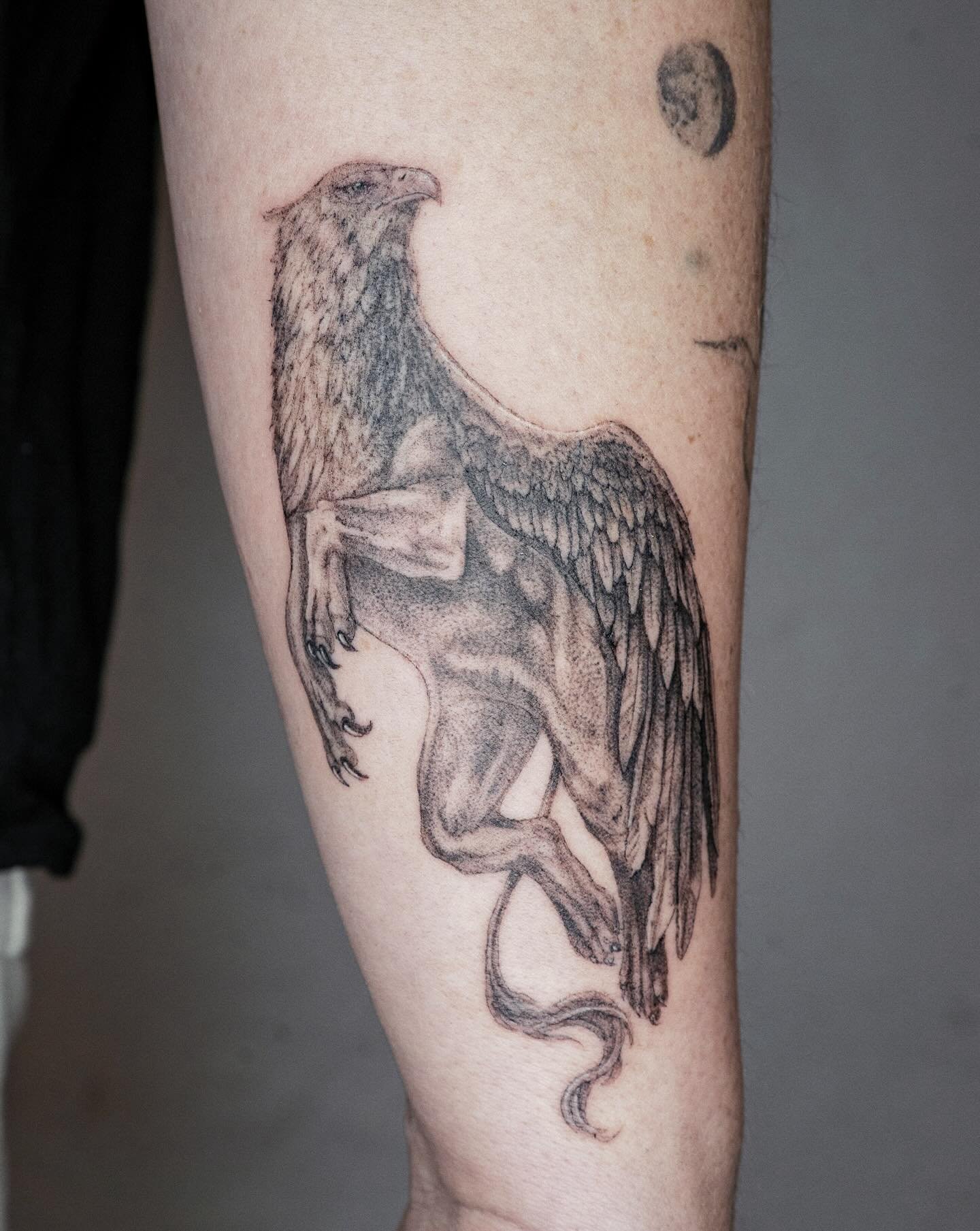 ⚔️ A gryphon for Griffin ⚔️

#stenatatts