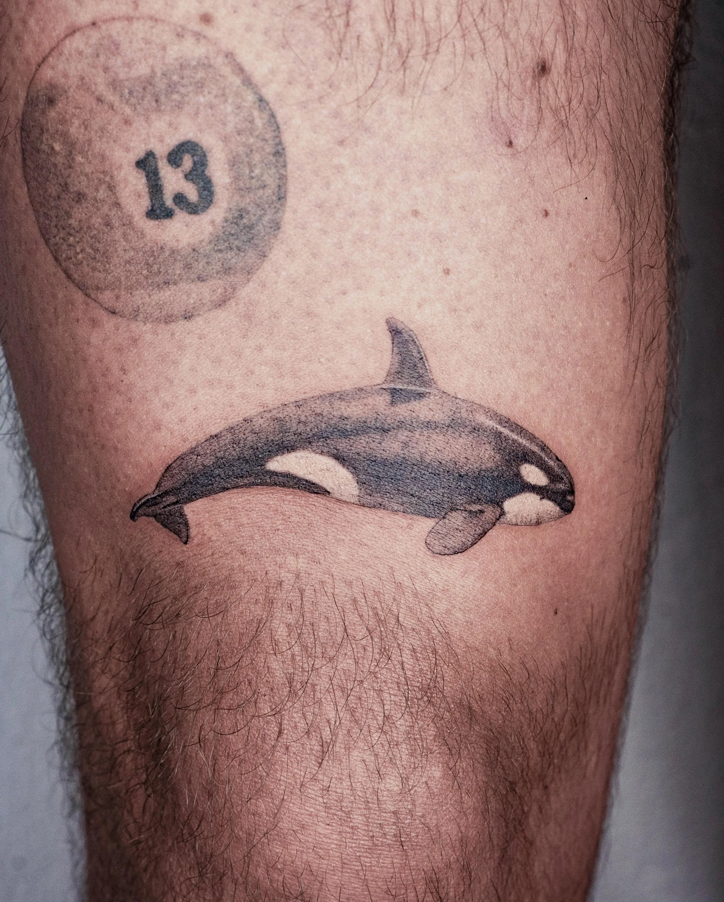 Orcas are murderous ocean pandas and I love them

#stenatatts