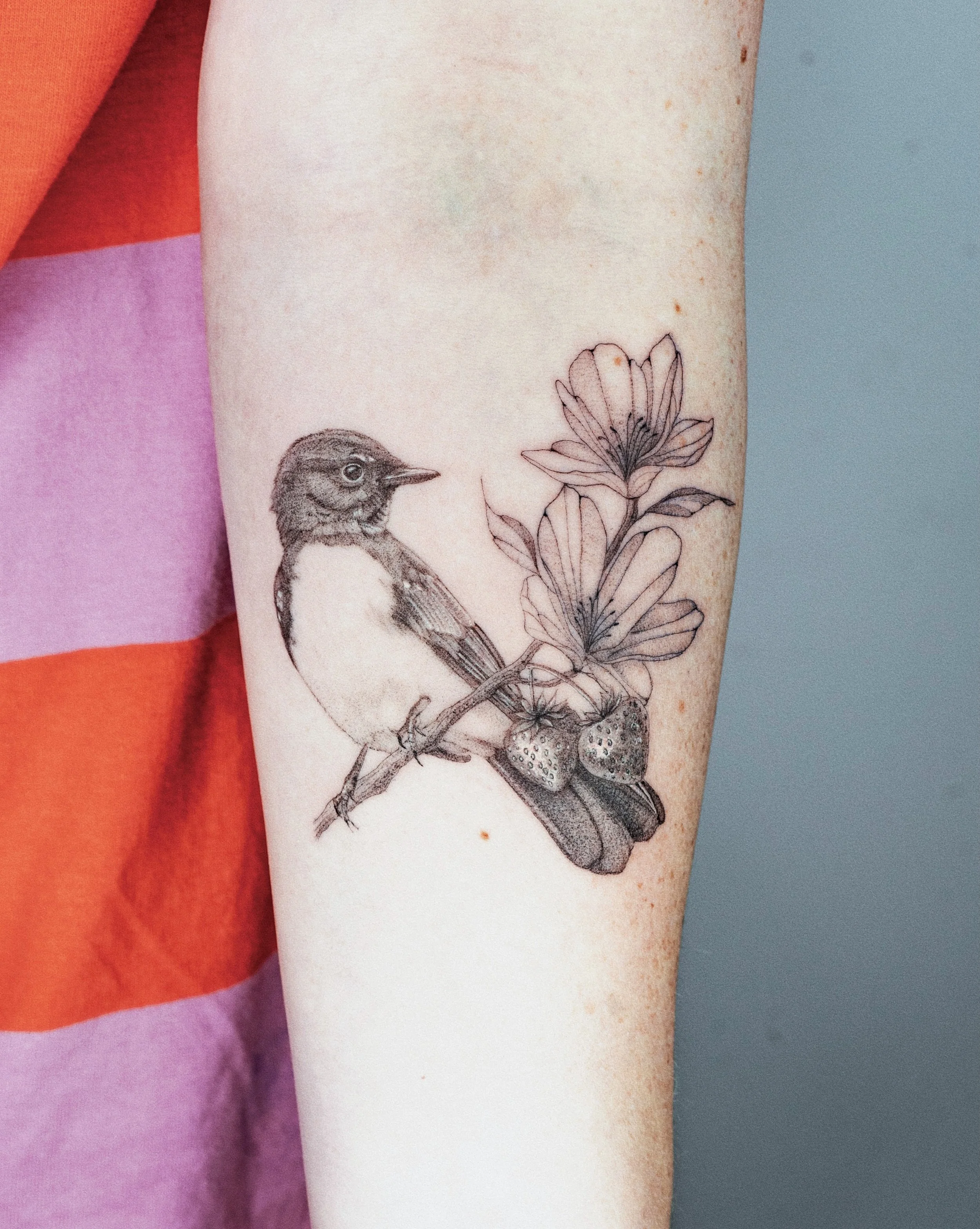 Willie wagtail 🪽 

Made at @spicyinkofficial 

#stenatatts