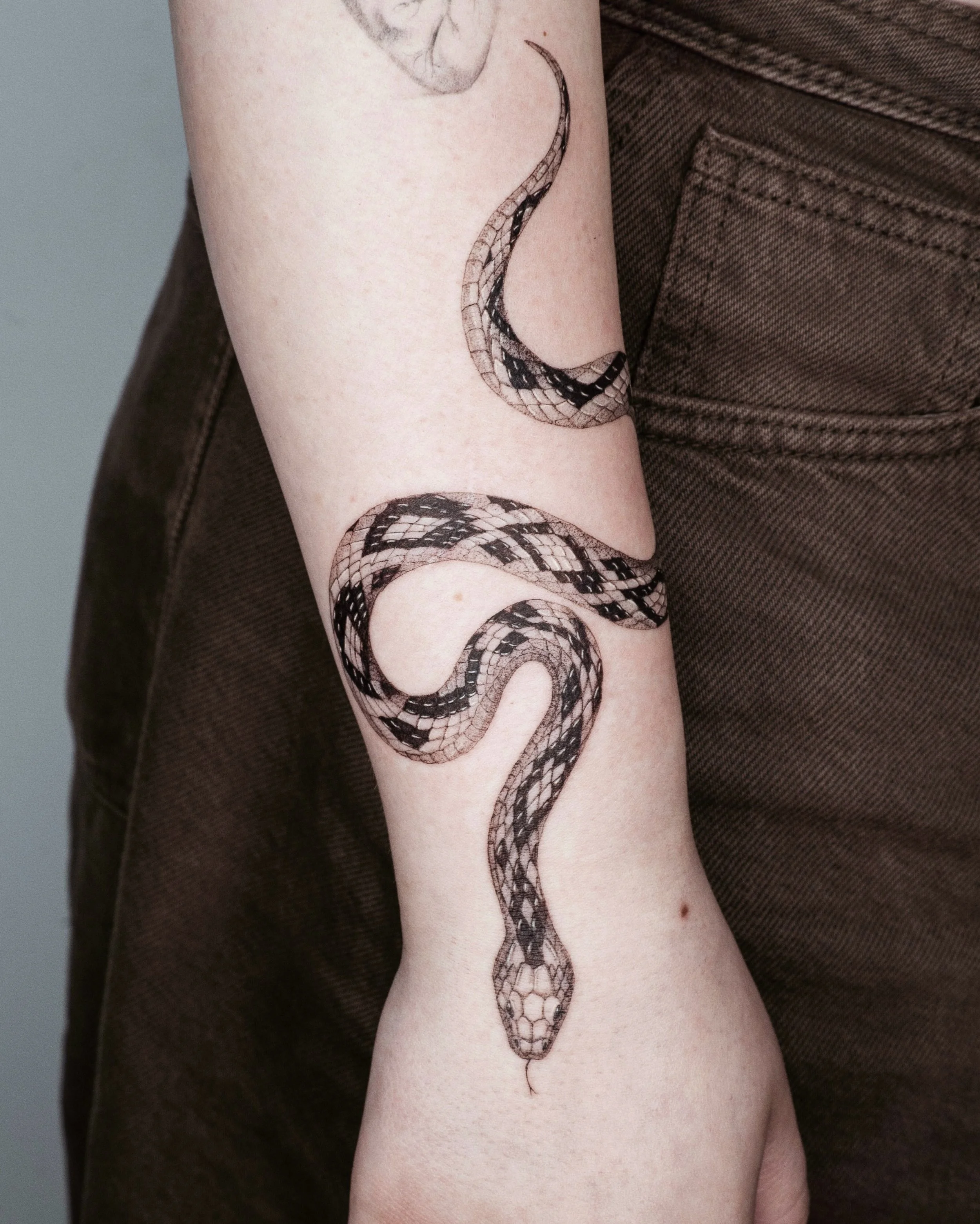 Thlithery little thneaky thnake

Made at @spicyinkofficial 

#stenatatts