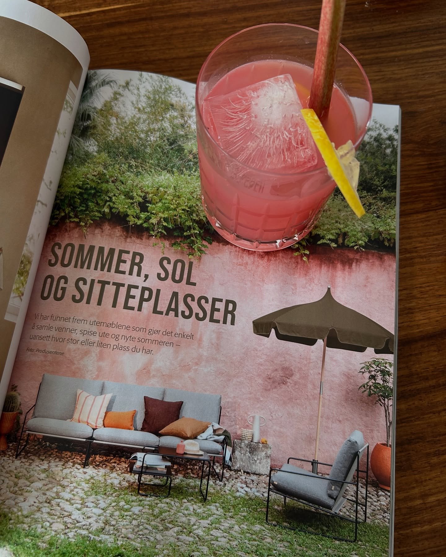 🍋Rabarbralemonade med vanilje og ingef&aelig;r🤩

Gir ca. 1 liter ferdig limonade

Ingredienser
	&bull;	600 g rabarbra (med skall)
	&bull;	2 ss fersk ingef&aelig;r
	&bull;	1 vaniljestang
	&bull;	2 dl sukker
	&bull;	1 sitron (skall og saft)
	&bull;	1
