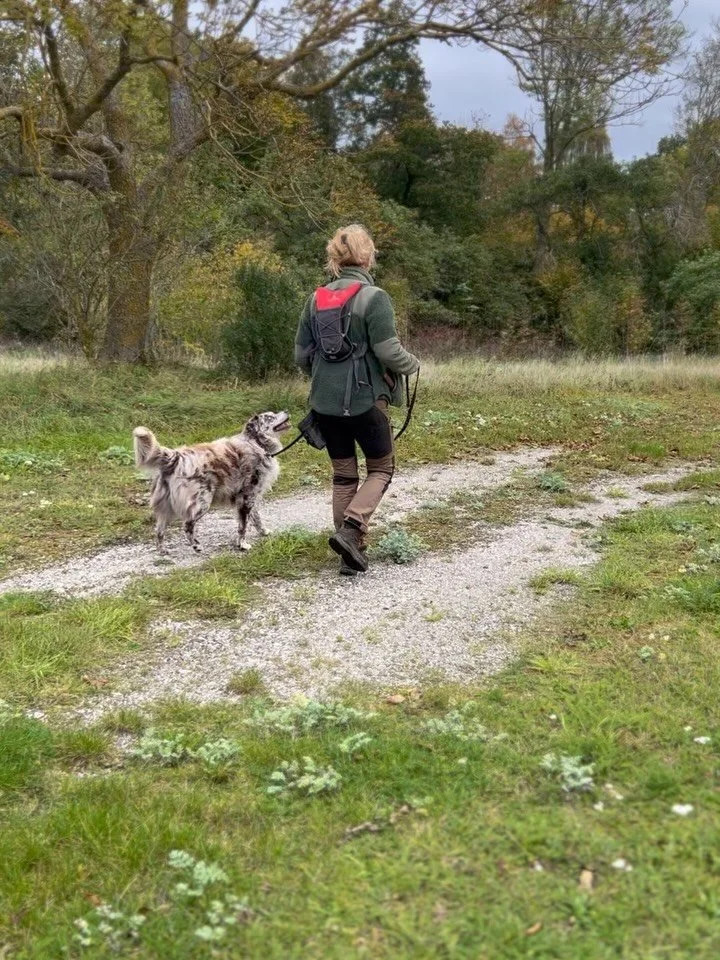 Tr&oslash;ffeljakt p&aring; Gotland.
@electroluxse @fabrikenfurillen 
#gourmet #tr&oslash;ffel #tr&oslash;ffelhund #gotland @electrolux #invitert