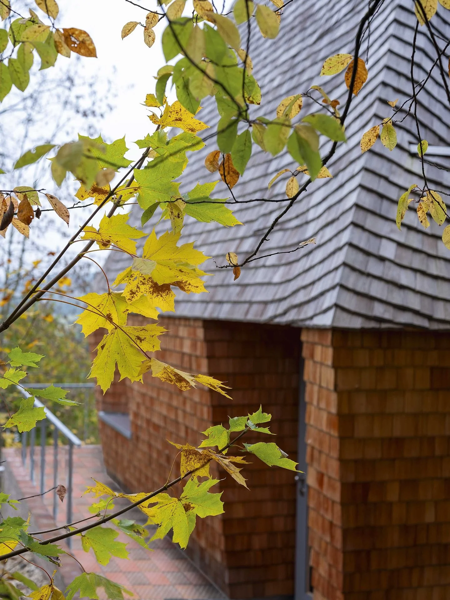 For arkitekt Manfred Lux er arkitektur mer enn konstruksjon &ndash; det er kunst med funksjon.
 &laquo;Huset Anton&raquo; viser hvordan estetikk, b&aelig;rekraft og innovasjon kan forenes:
Et modulbasert hjem bygget i tre, uten lim eller metall &ndas