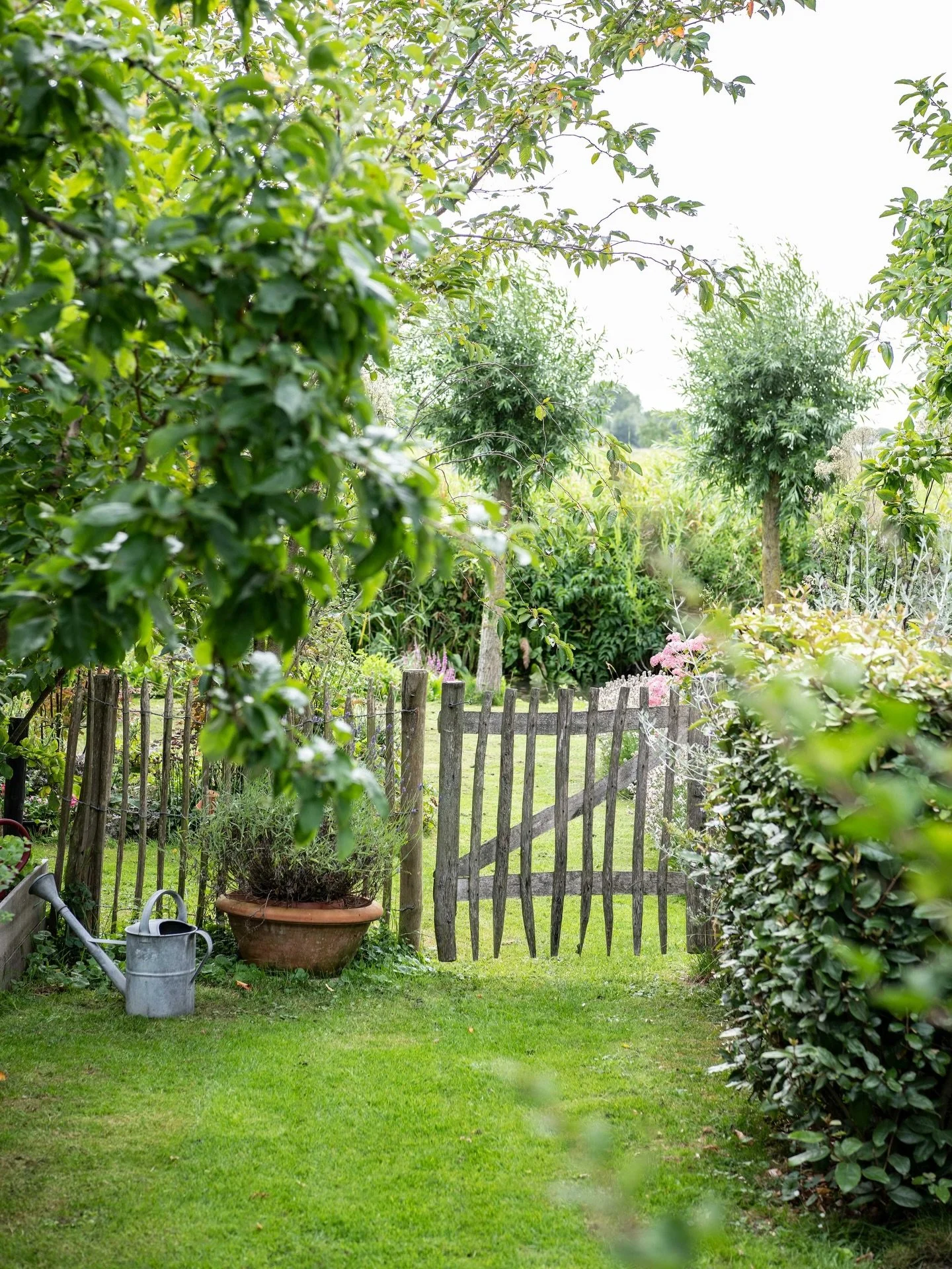 Et hjem skapt av naturen 
Da Esther og mannen oppdaget tomten for 15 &aring;r siden, var det kun et lite skur omgitt av en vill, frodig hage. Hun forelsket seg umiddelbart &ndash; og har siden formet stedet med frukttr&aelig;r, blomster og egen kj&os
