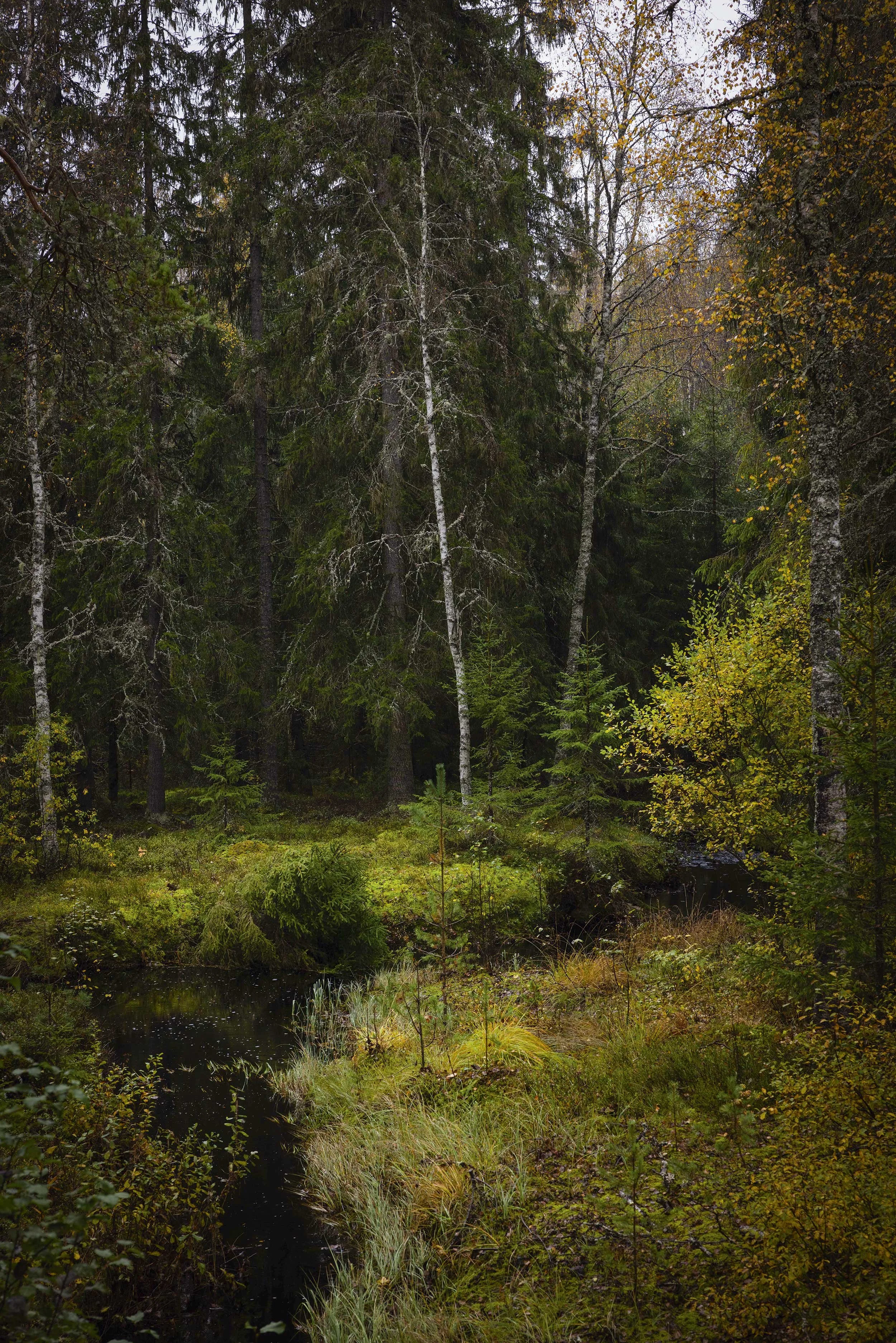 intriørmagasinet.høst25-12.jpg