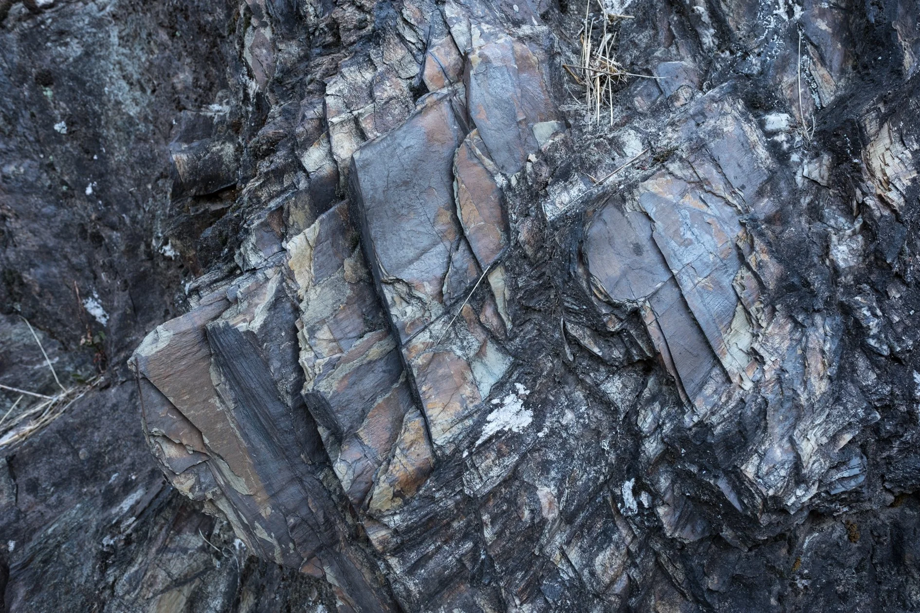 Purple schists.jpg