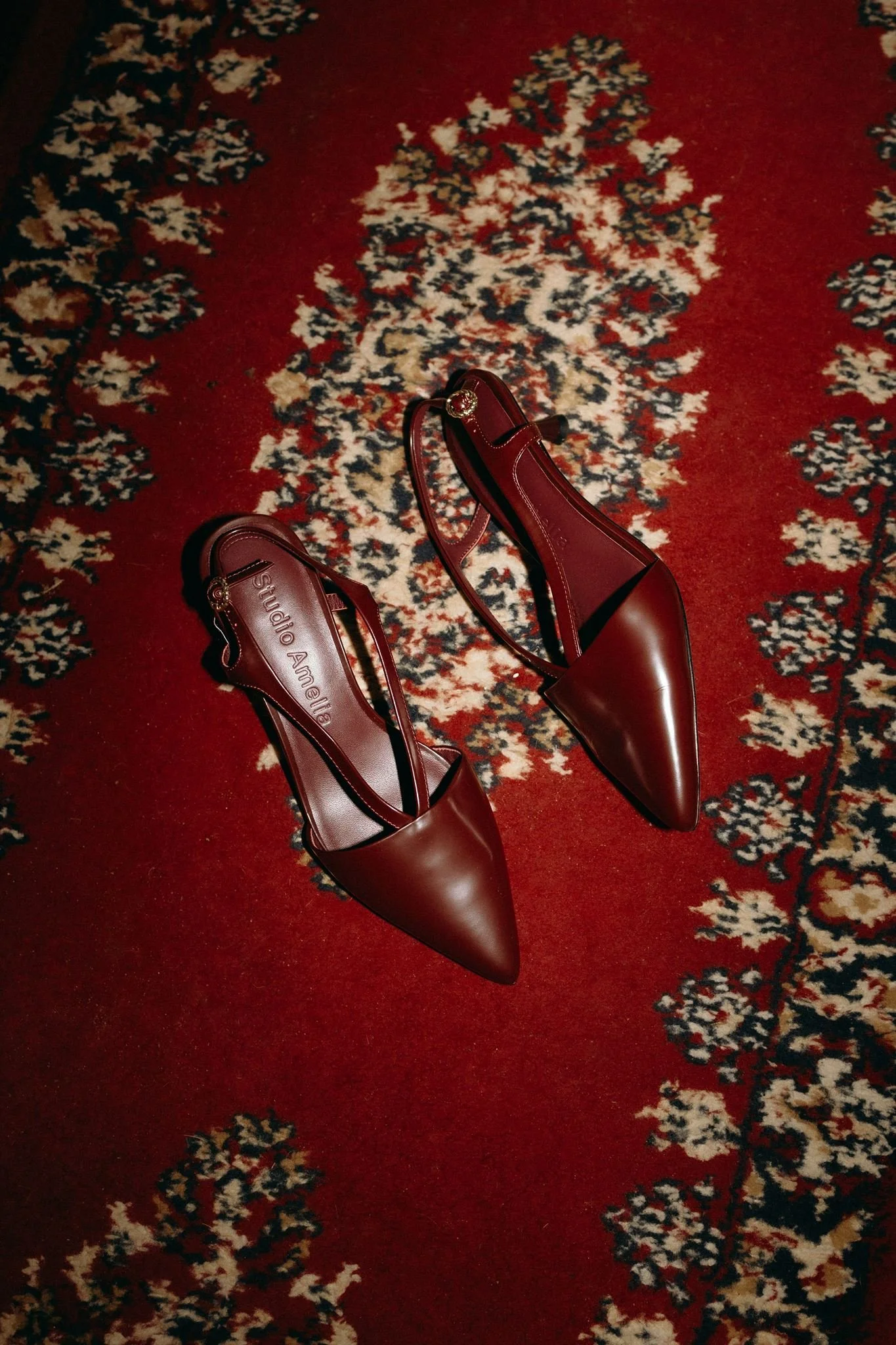 Grace & Shub, Previews-4_websize.jpg