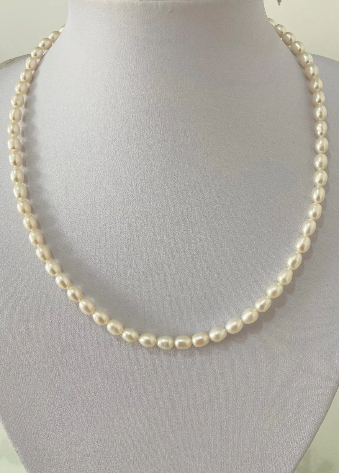 WhatsApp Image 2024-04-01 at 00.09.27.jpeg