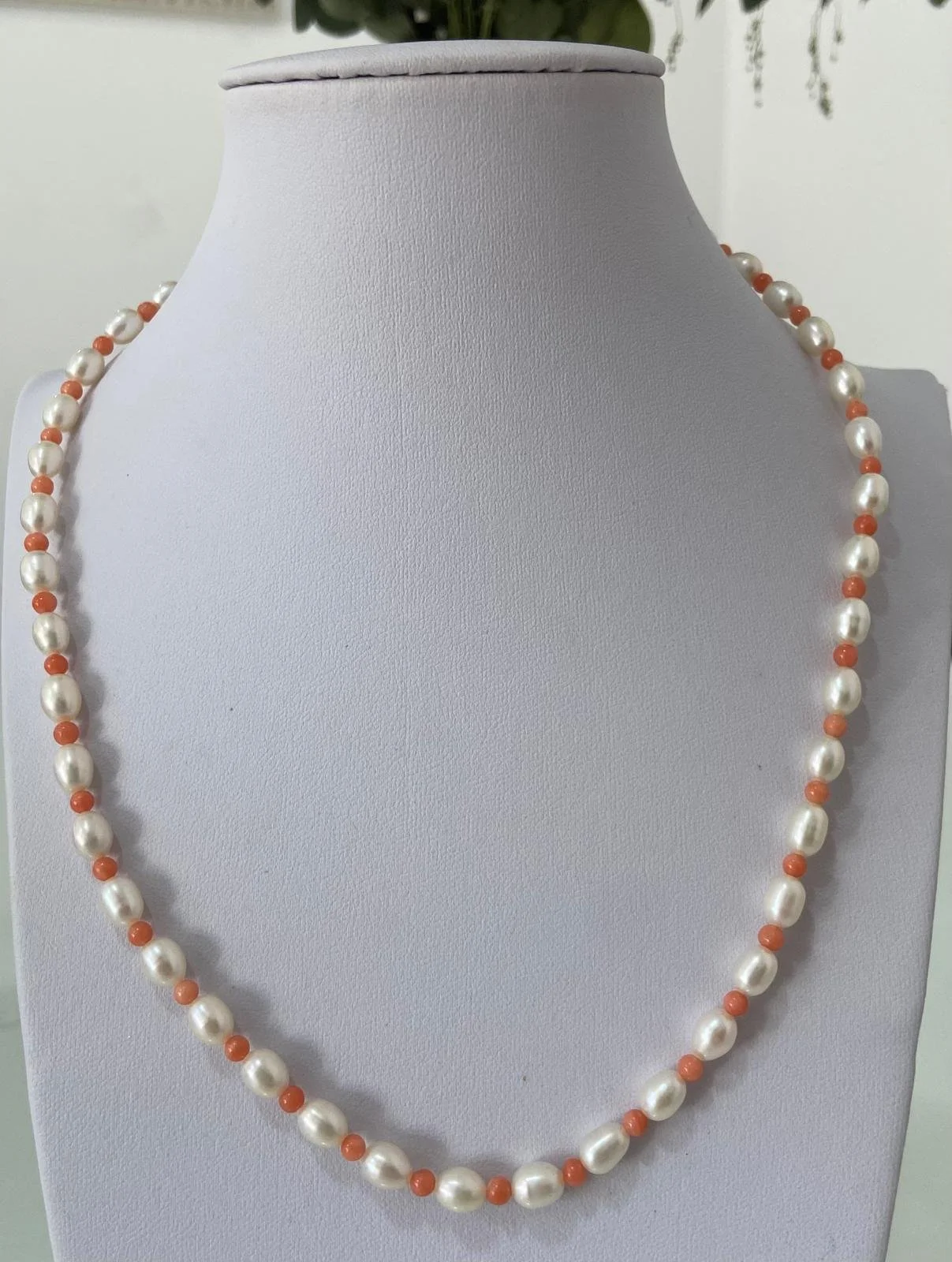 WhatsApp Image 2024-03-15 at 06.38.26.jpeg