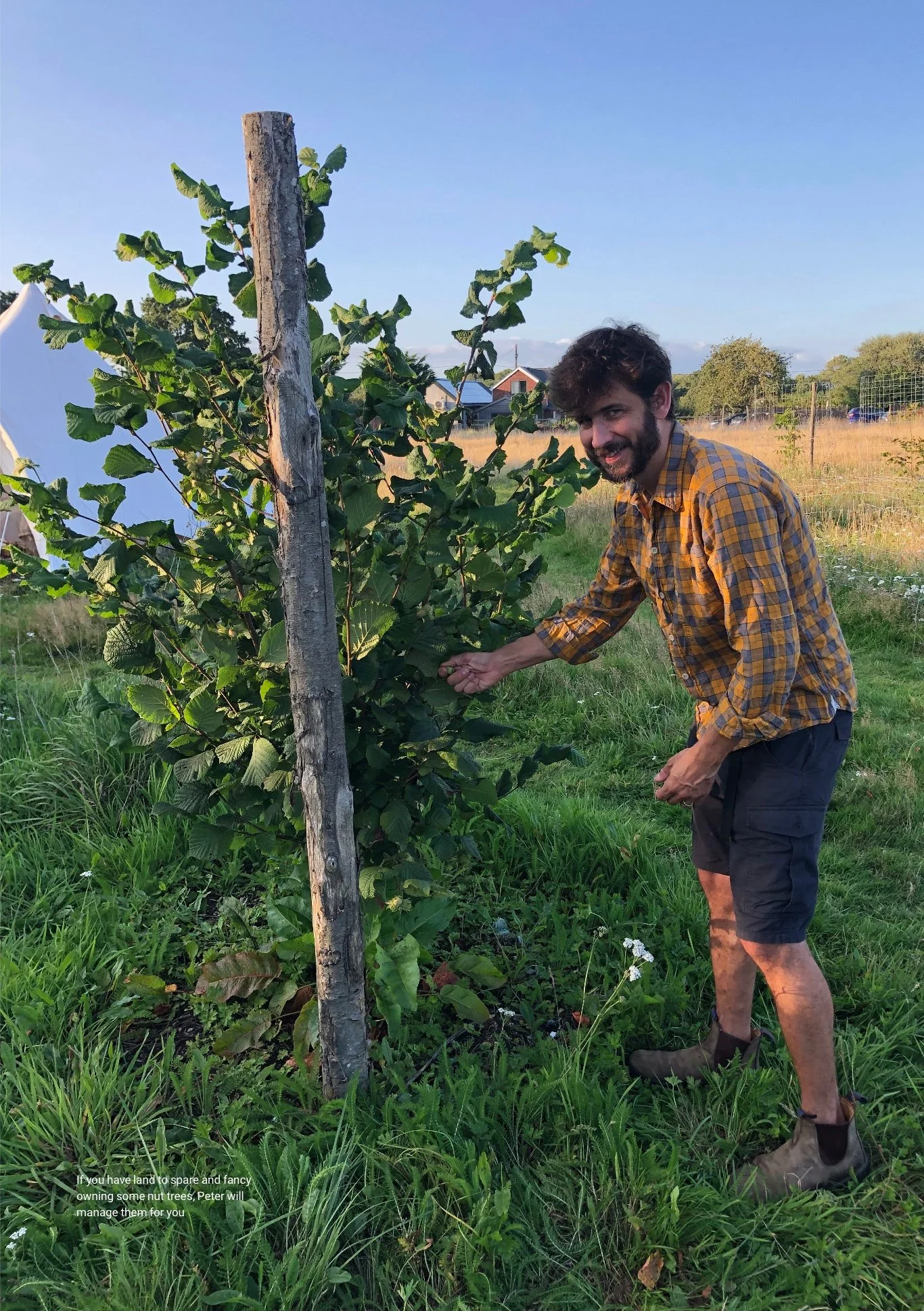 The future of farming in the New Forest