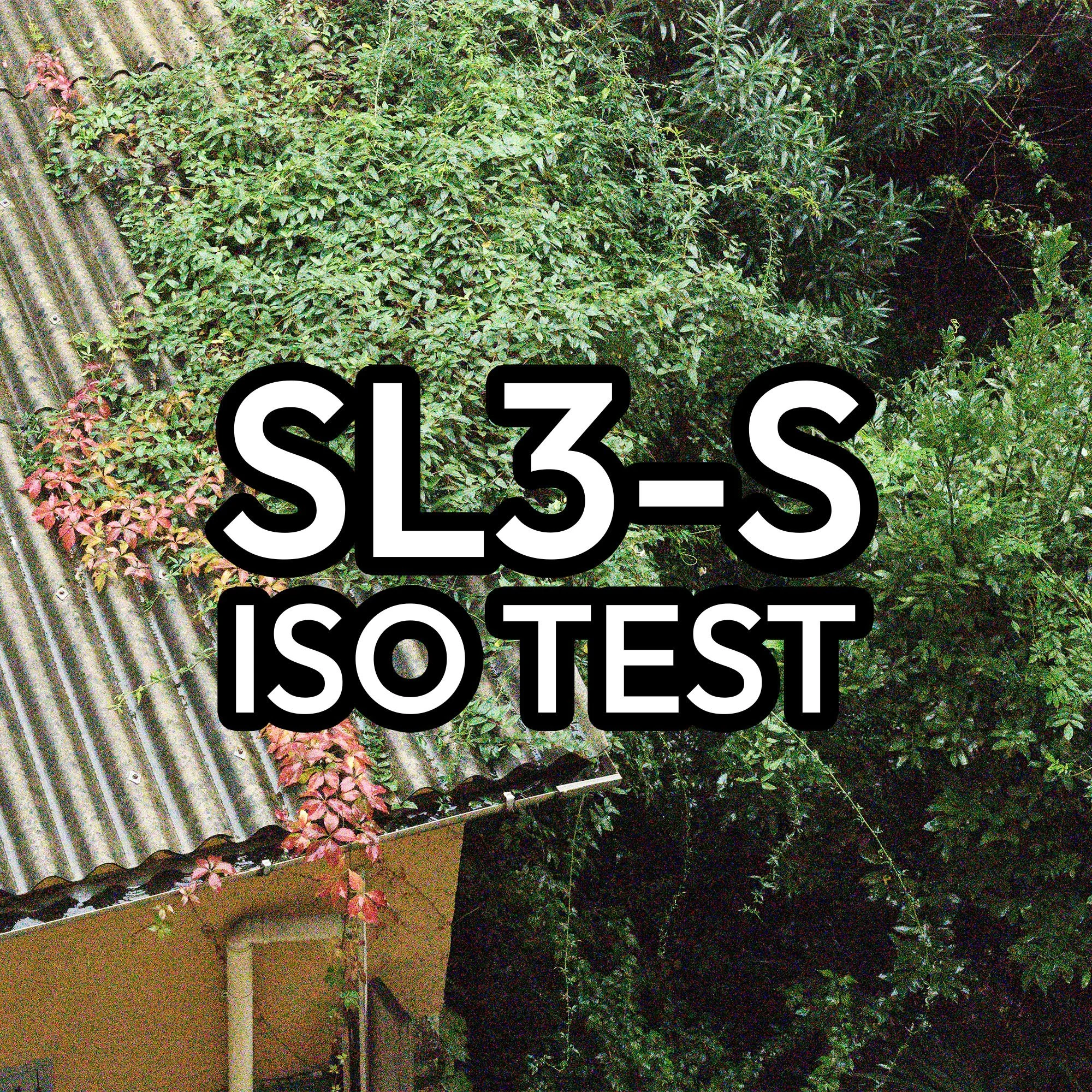 Leica SL3-S ISO test / performance