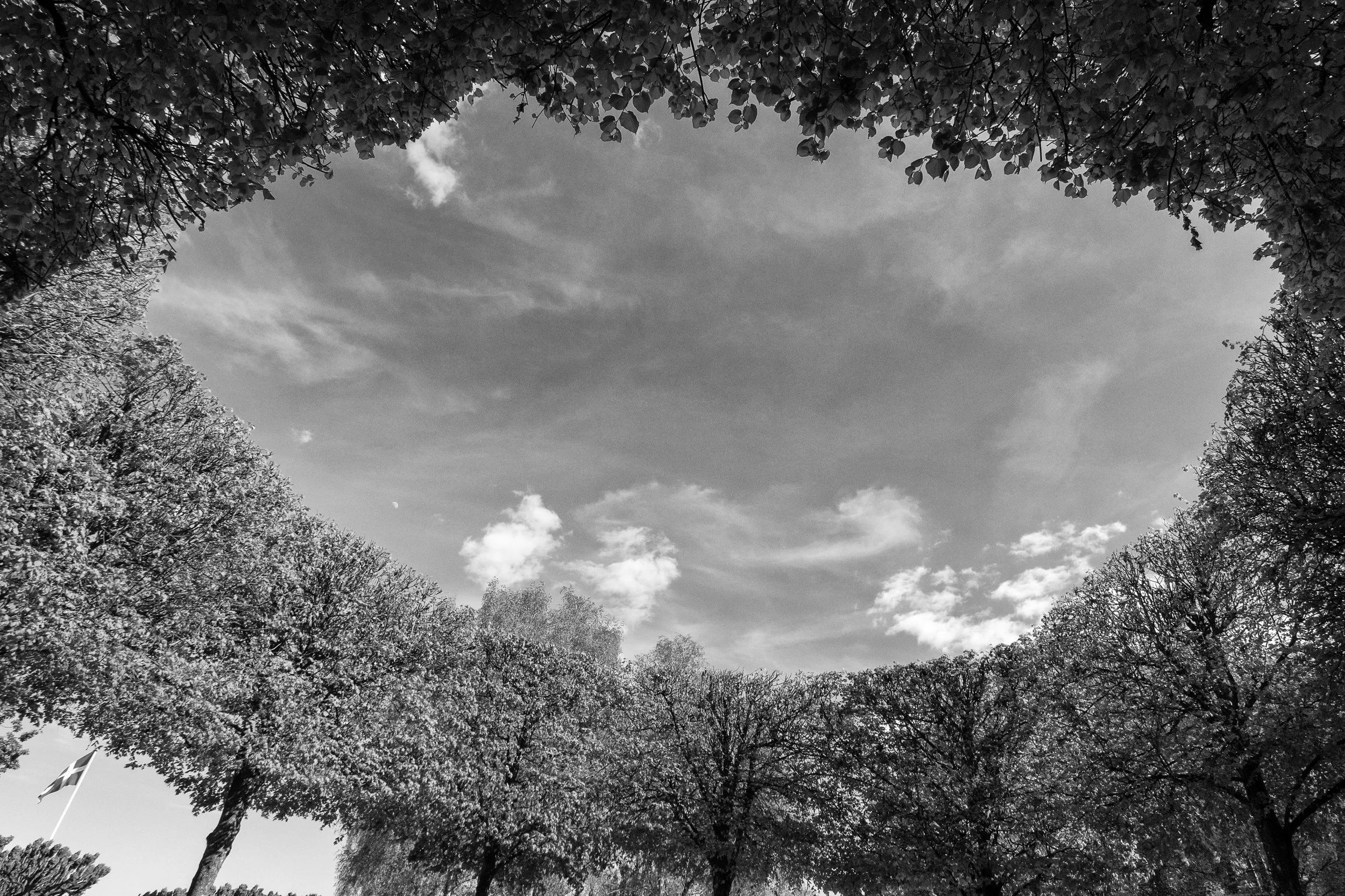 DSC_6754.ZW..jpg