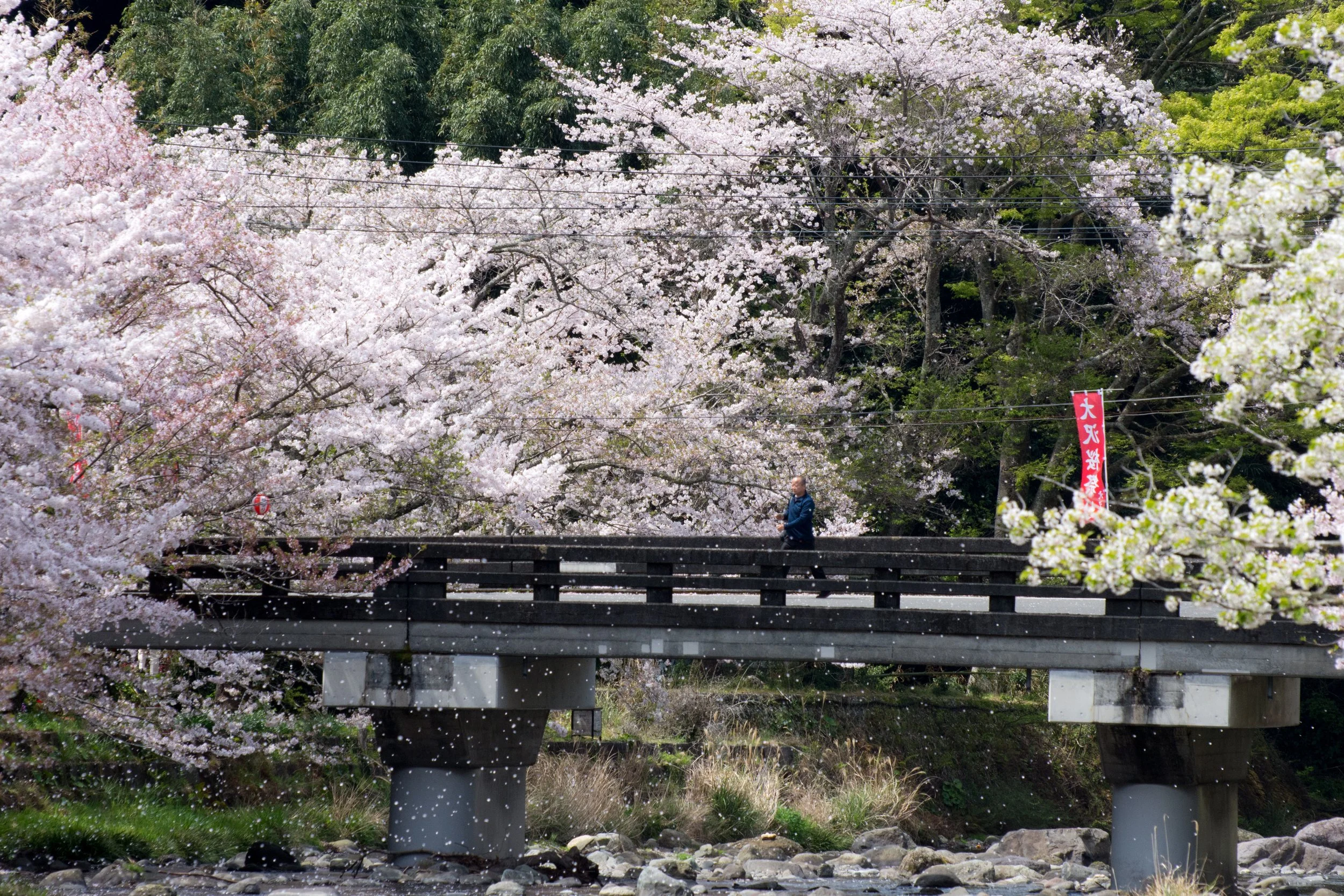 DSC_5539.b.jpg