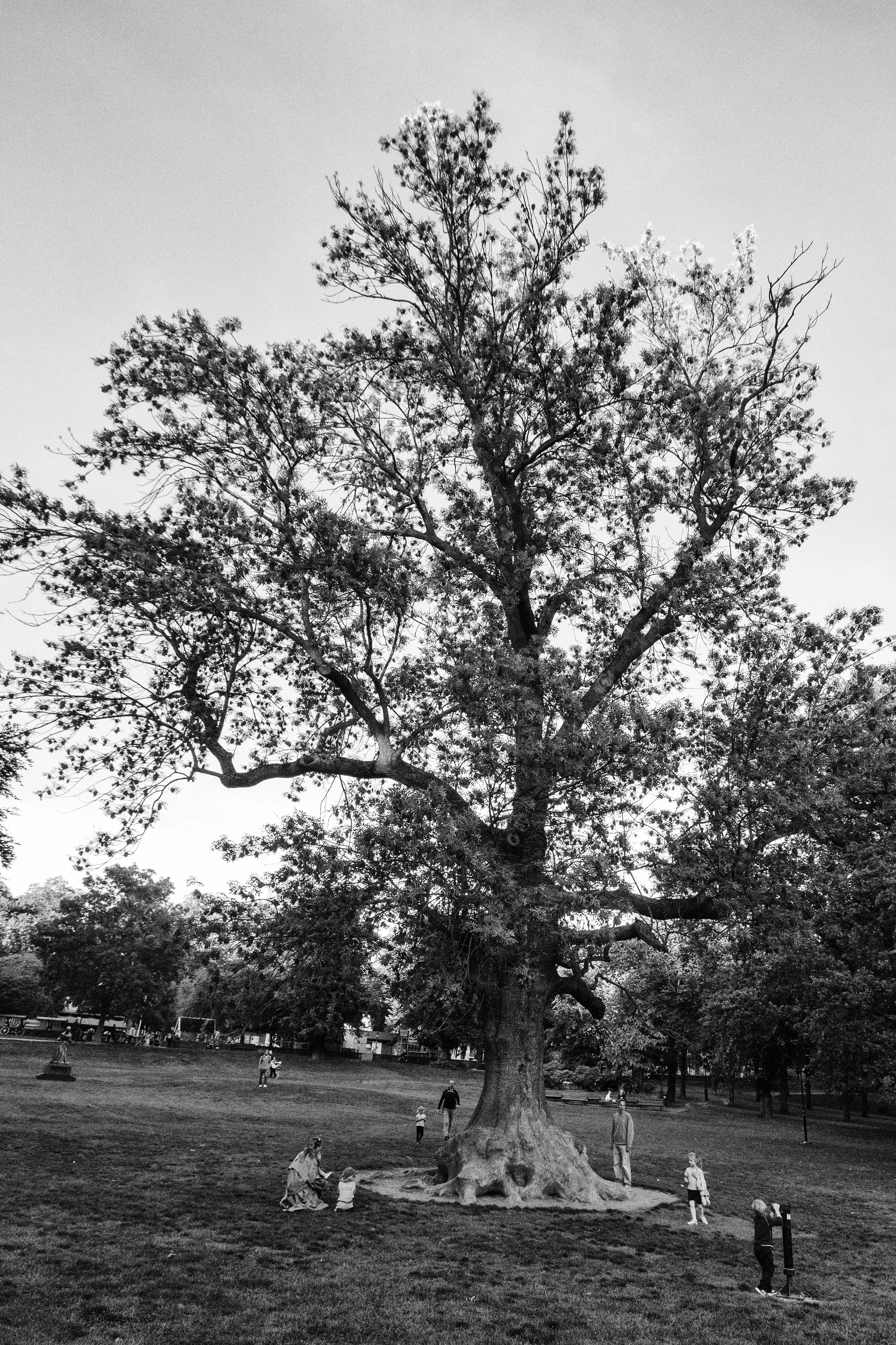 DSC_8248.b.ZW..jpg