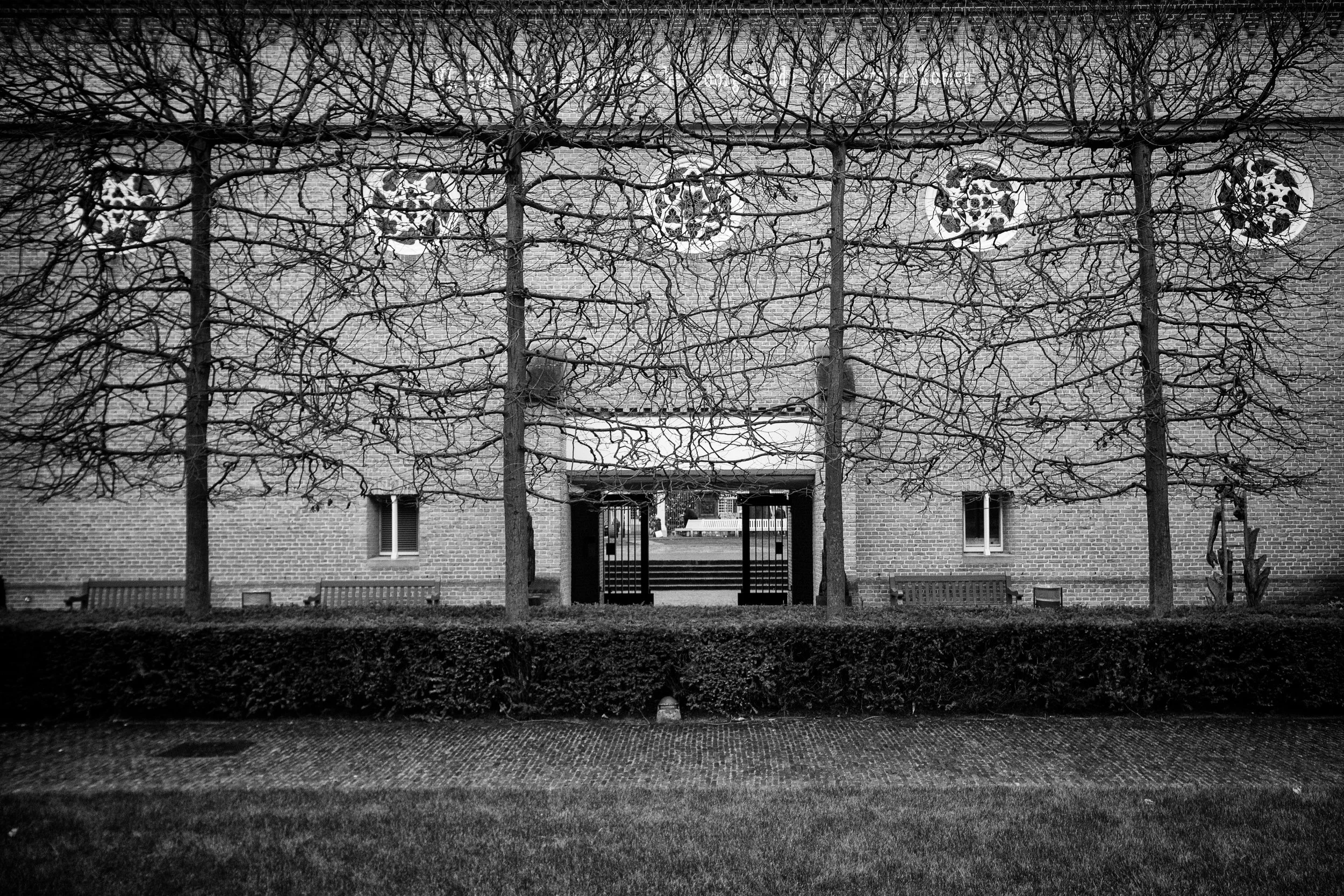 DSC_9808.b.u.ZW..jpg
