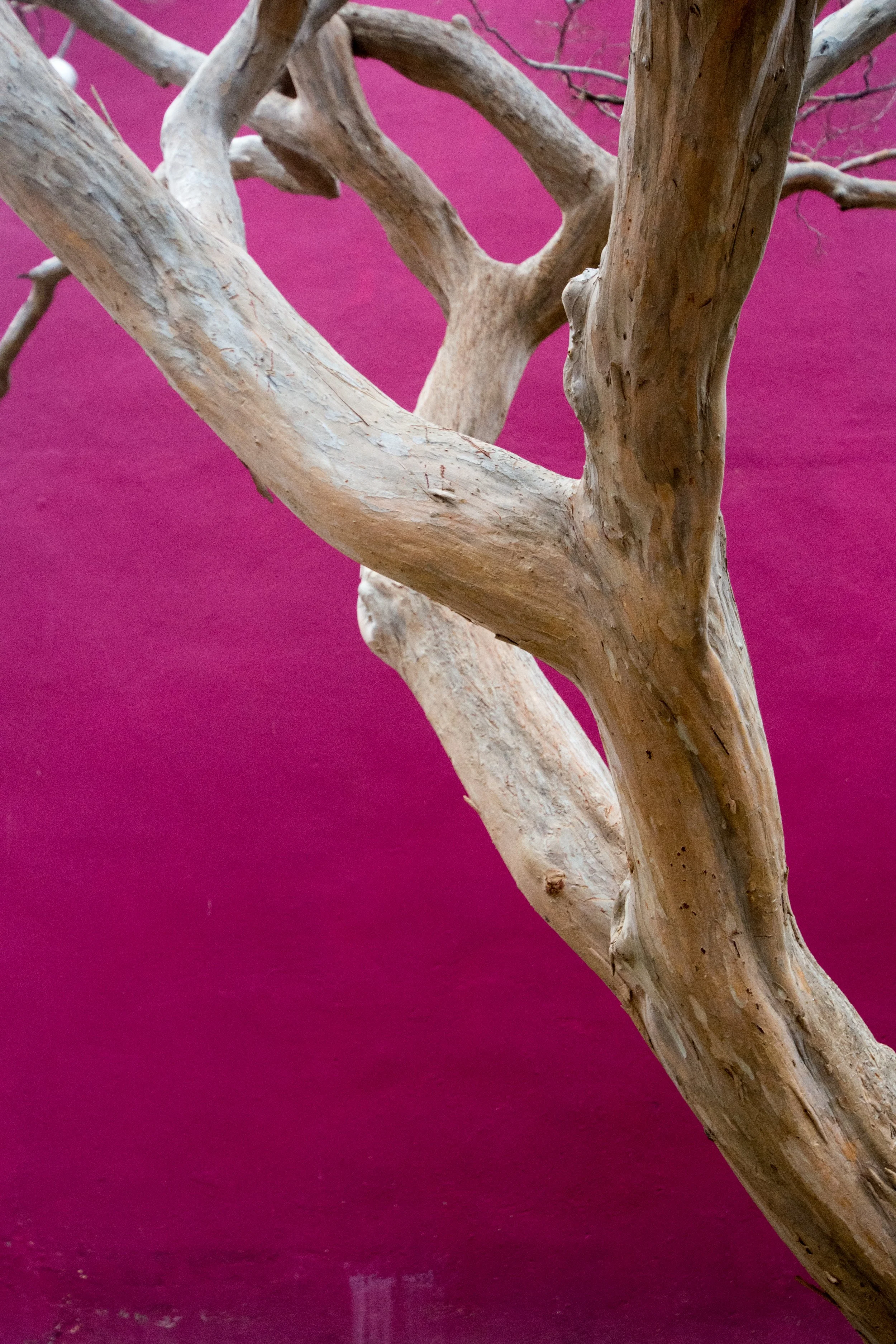 DSC_8995.b.jpg