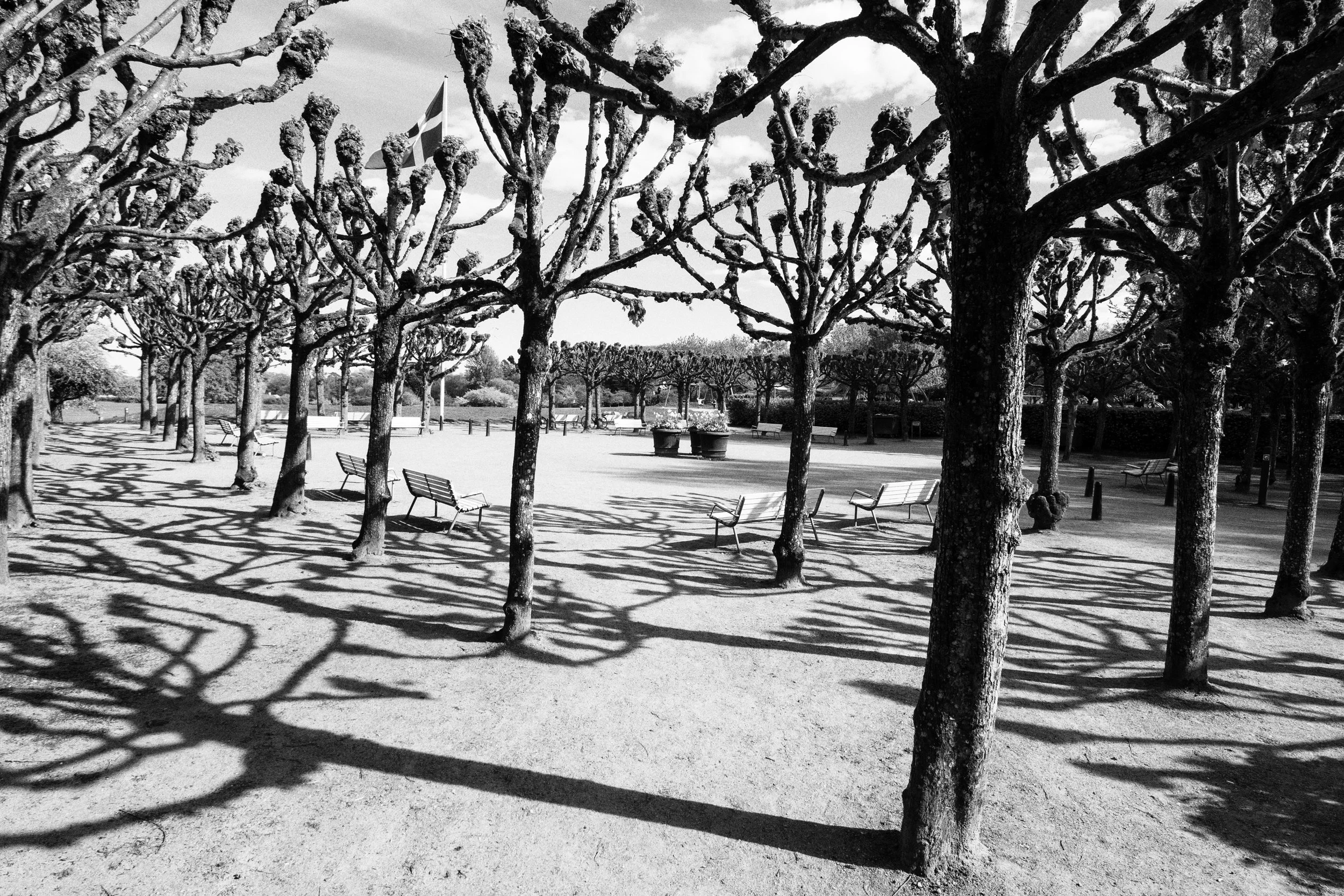 DSC_6740.ZW.jpg