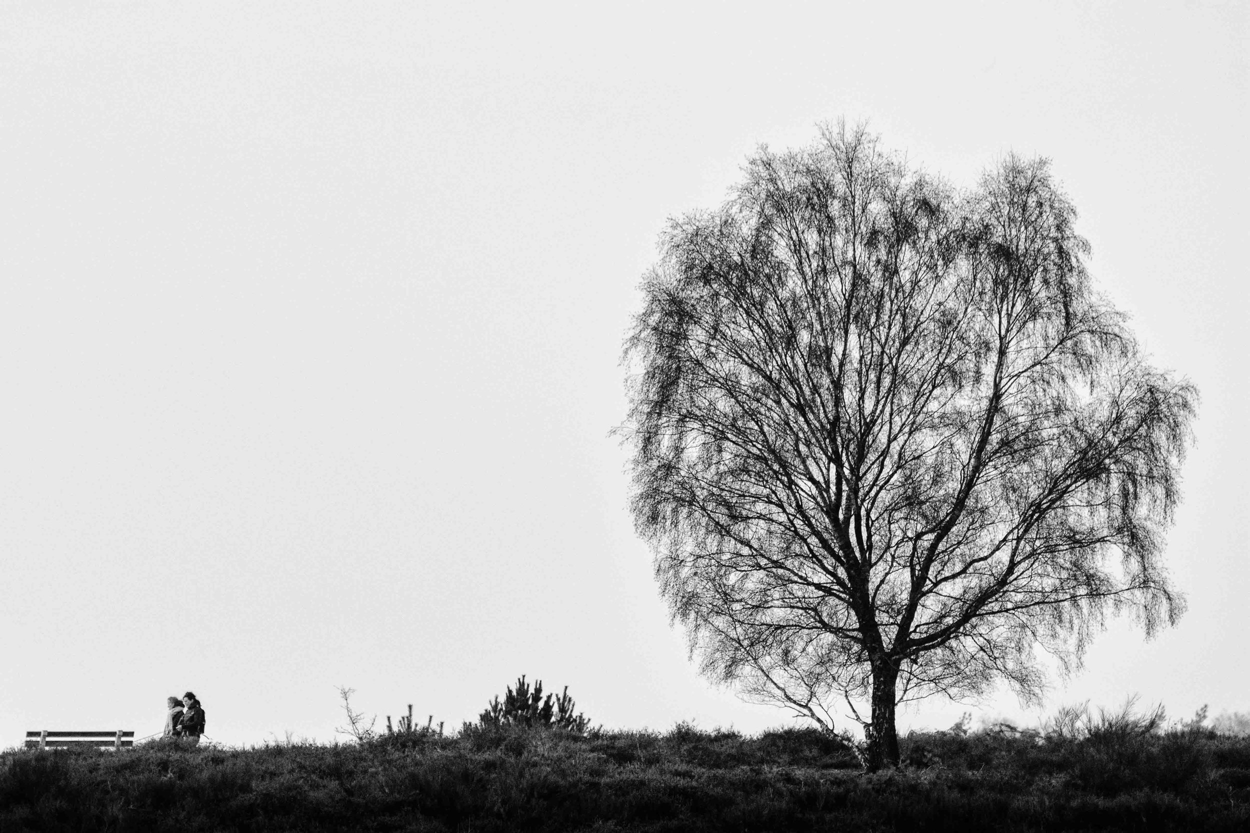 DSC_0301.ZW. u.k..jpg