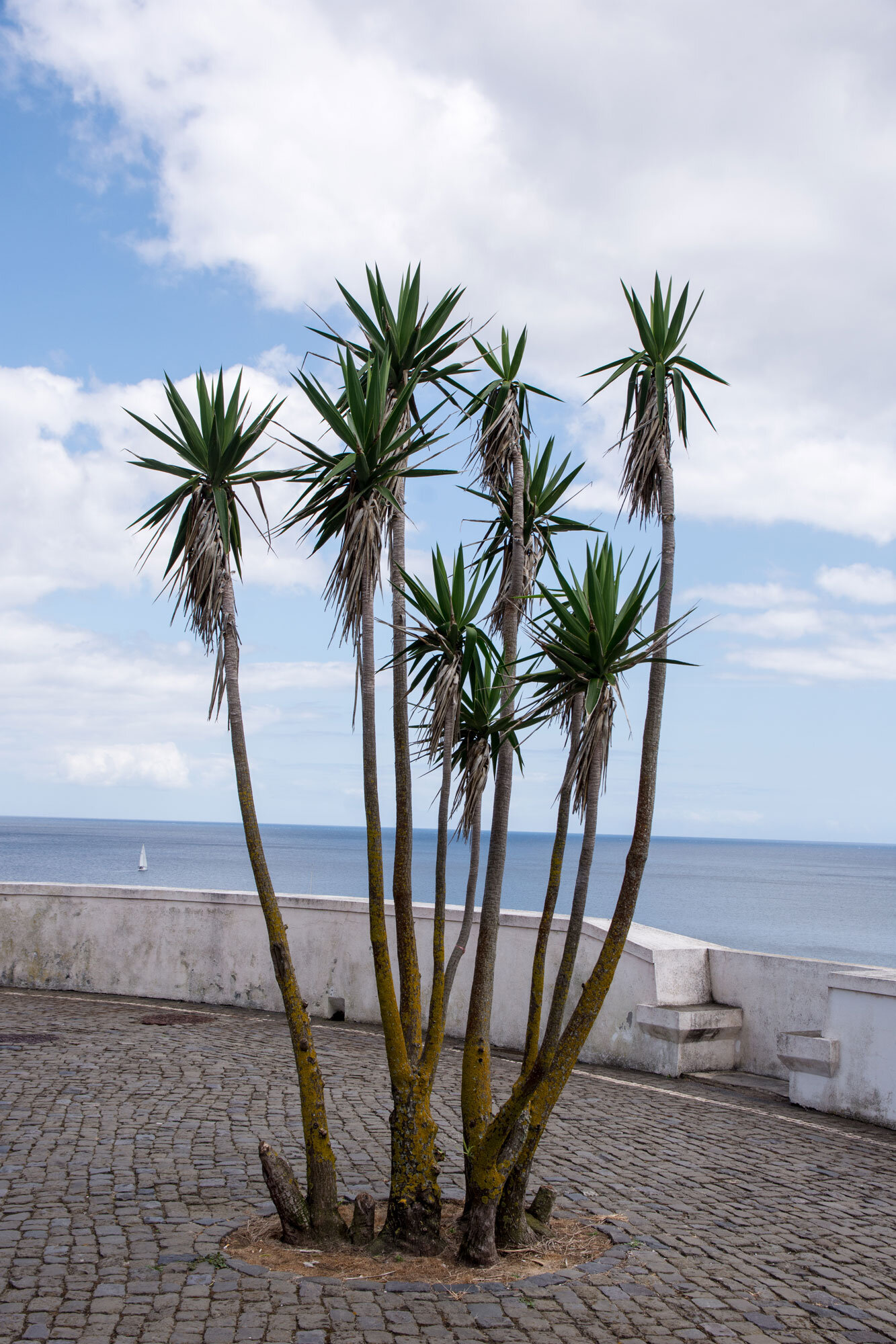 Terceira, Angra do Heroísmo