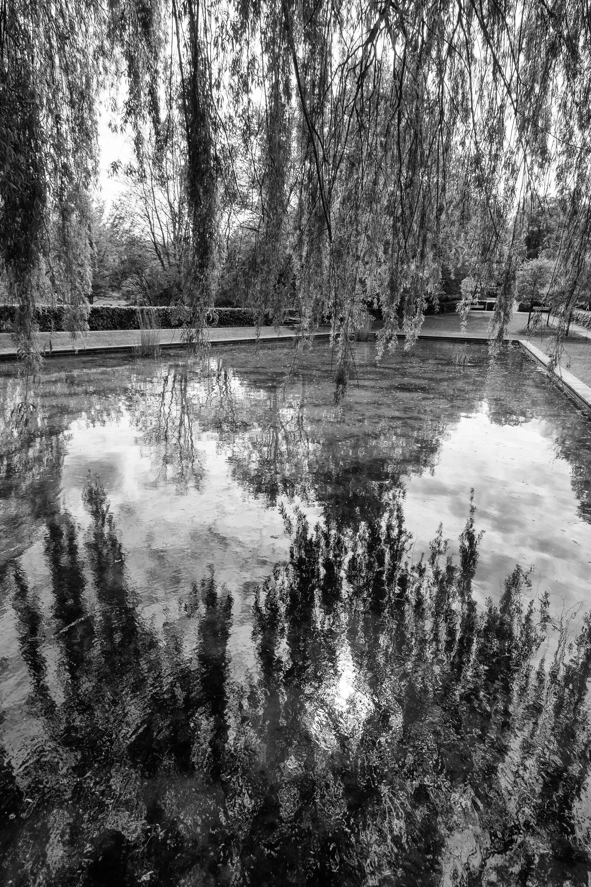 DSC_6687.ZW..jpg
