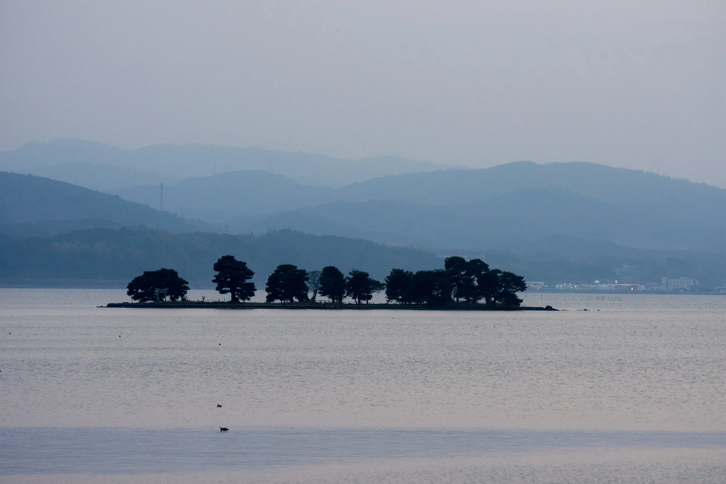 DSC_1418.b.k..jpg
