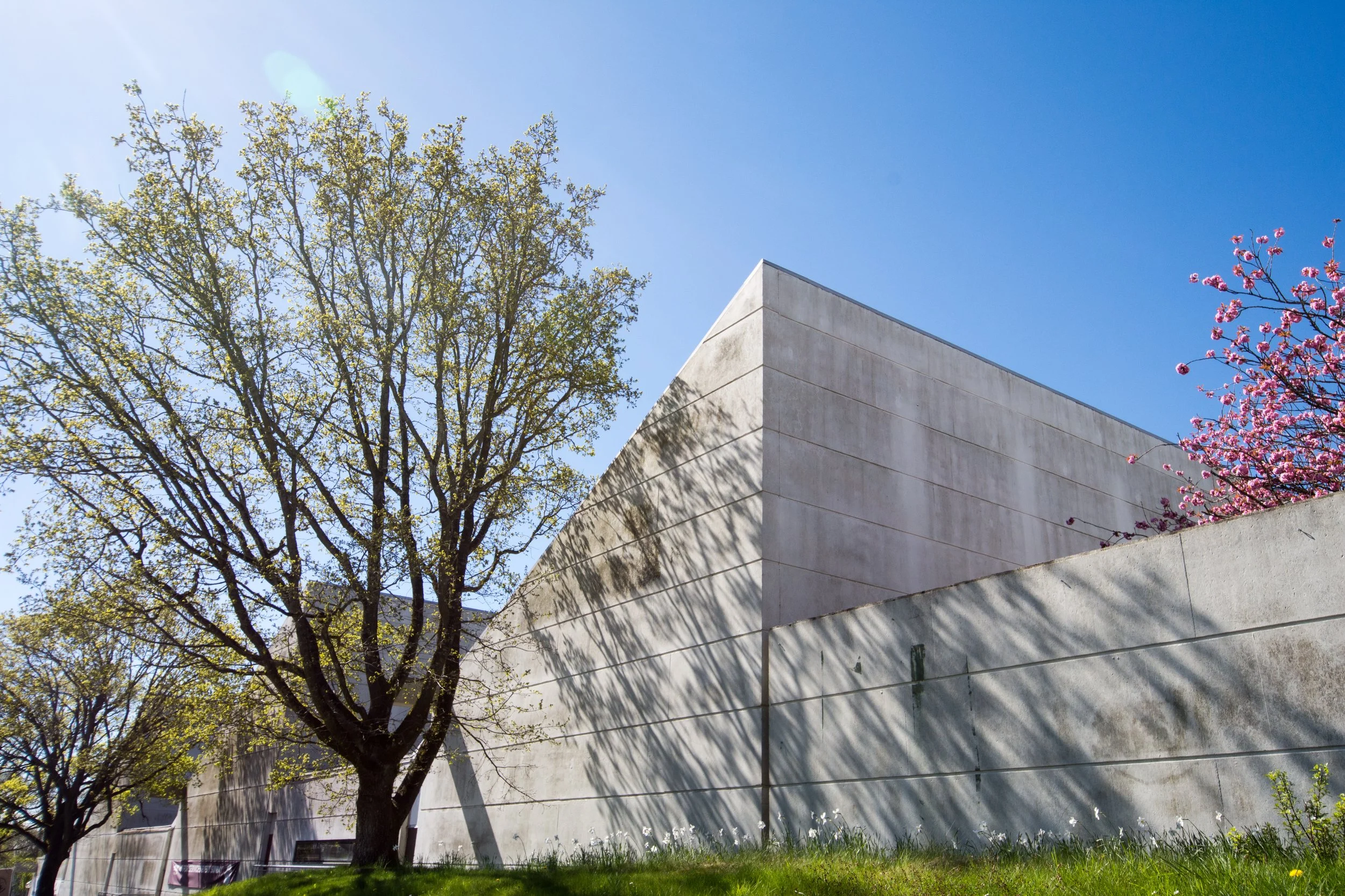 DSC_3115.b.jpg